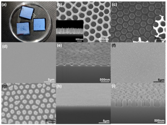 High Anti-Reflection Large-Scale Cup-Shaped Nano-Pillar