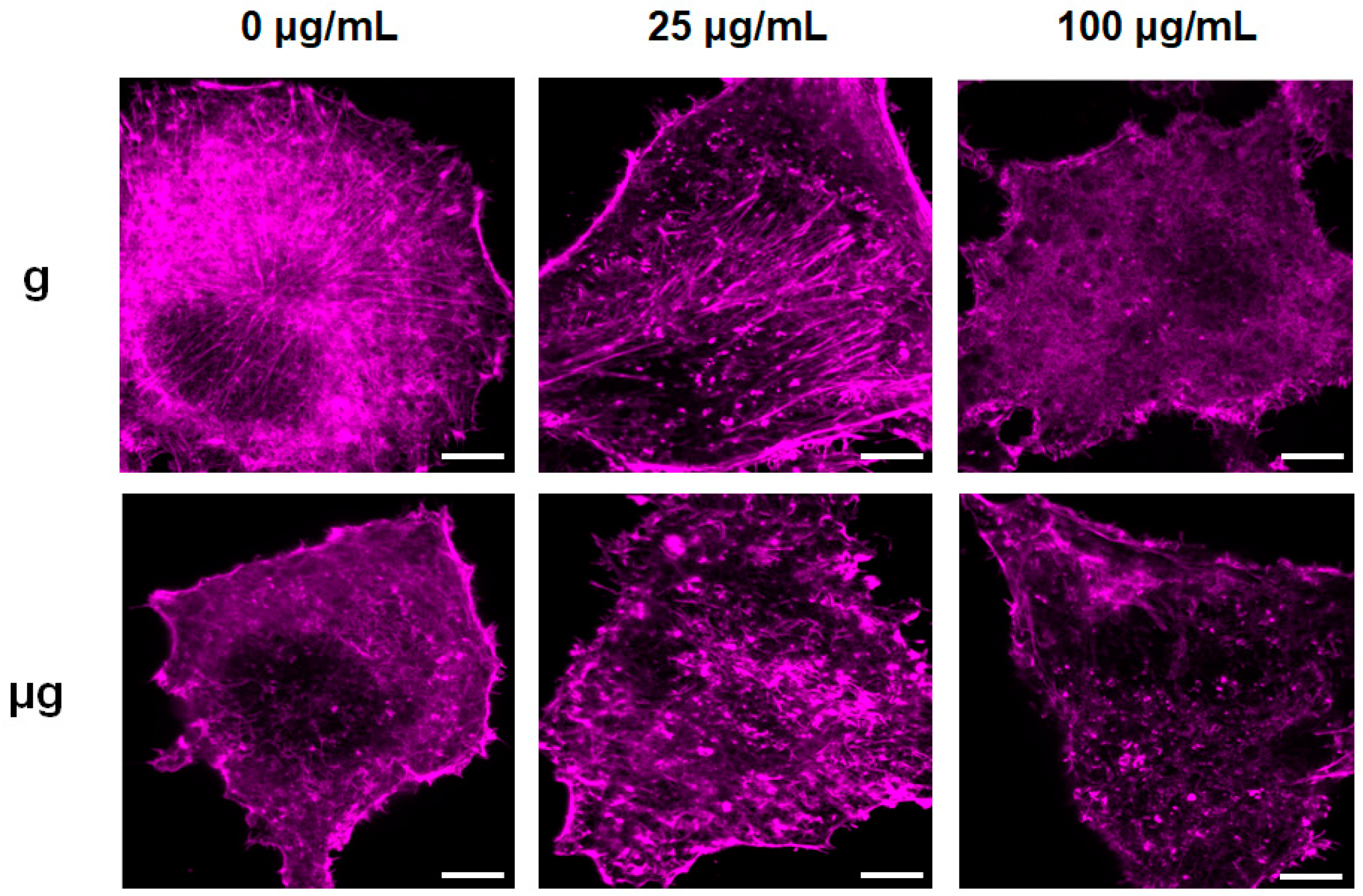 Nanomaterials 12 01879 g005 Nanomaterials 12 01879 g005