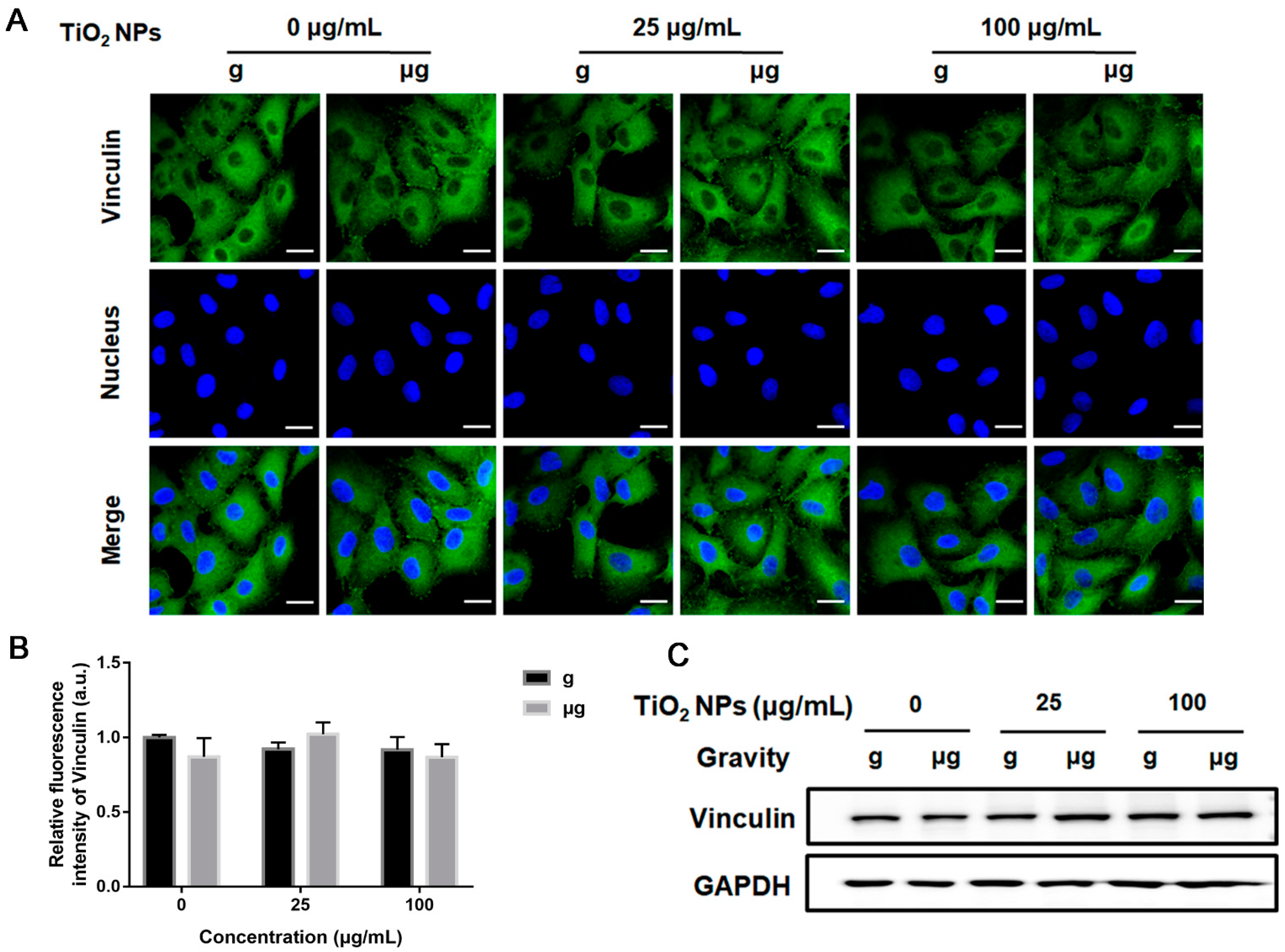 Nanomaterials 12 01879 g006 Nanomaterials 12 01879 g006