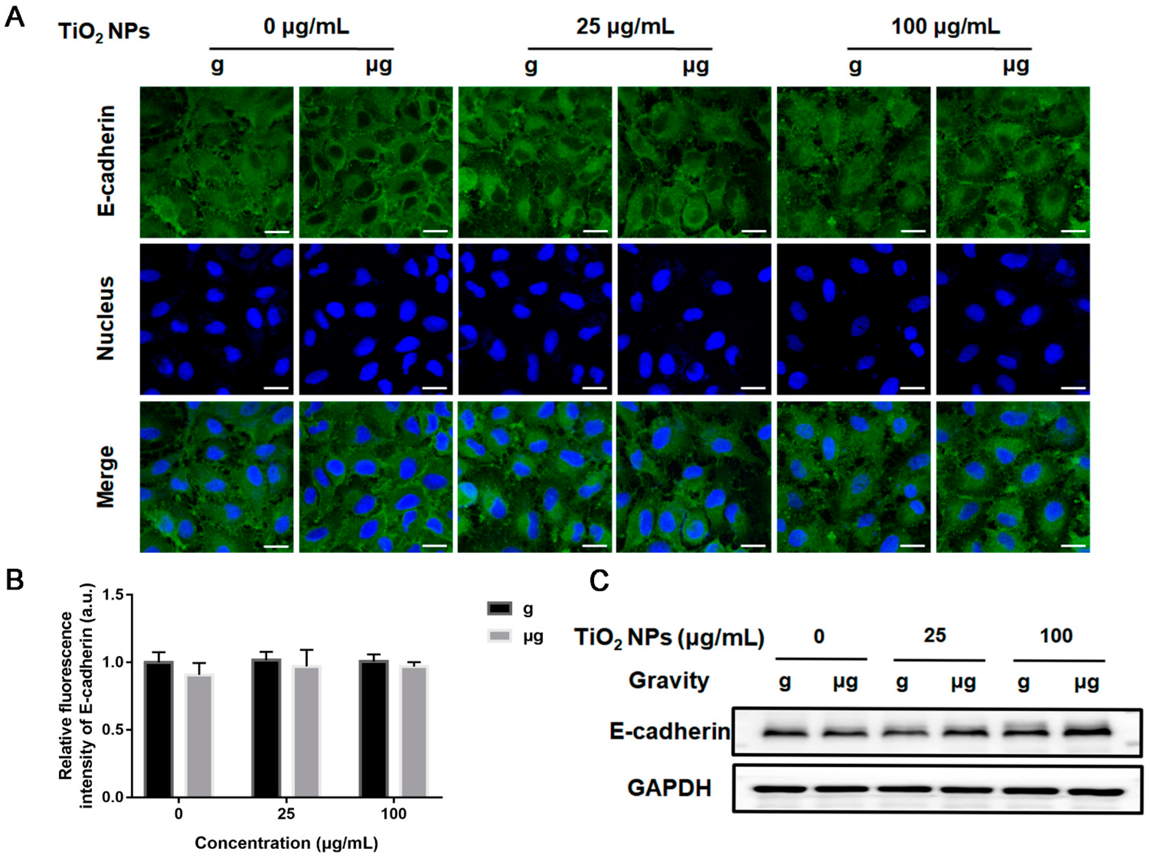 Nanomaterials 12 01879 g007 Nanomaterials 12 01879 g007