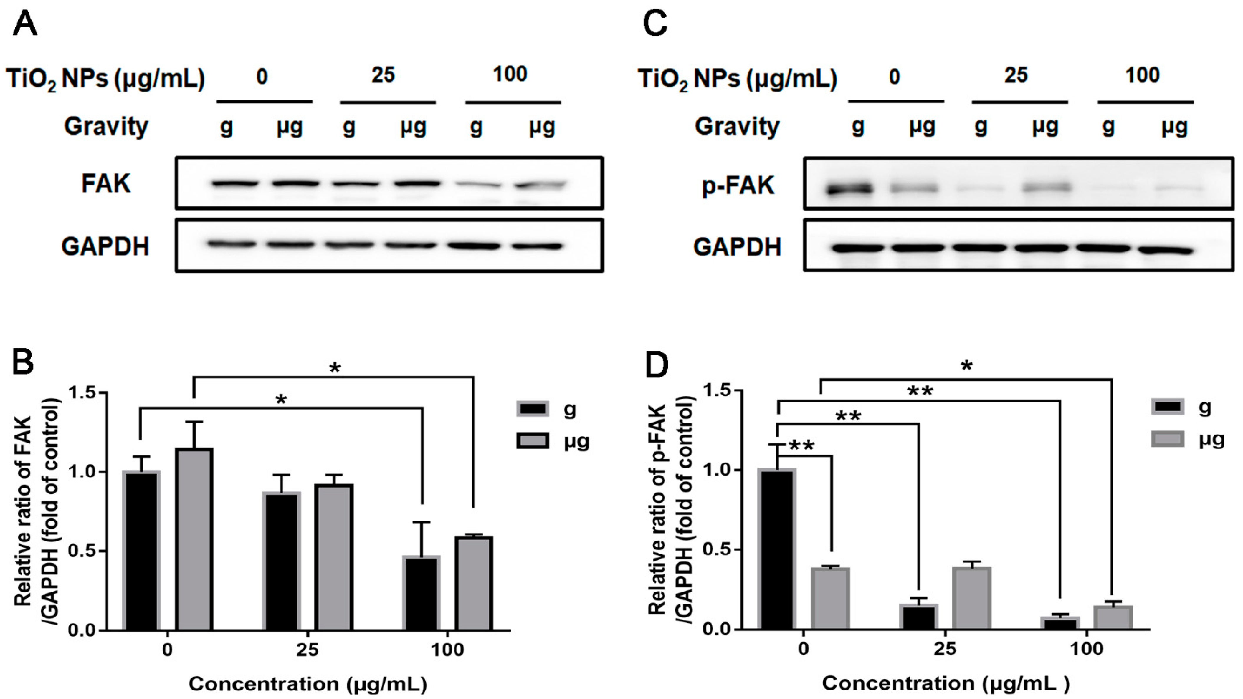 Nanomaterials 12 01879 g009 Nanomaterials 12 01879 g009