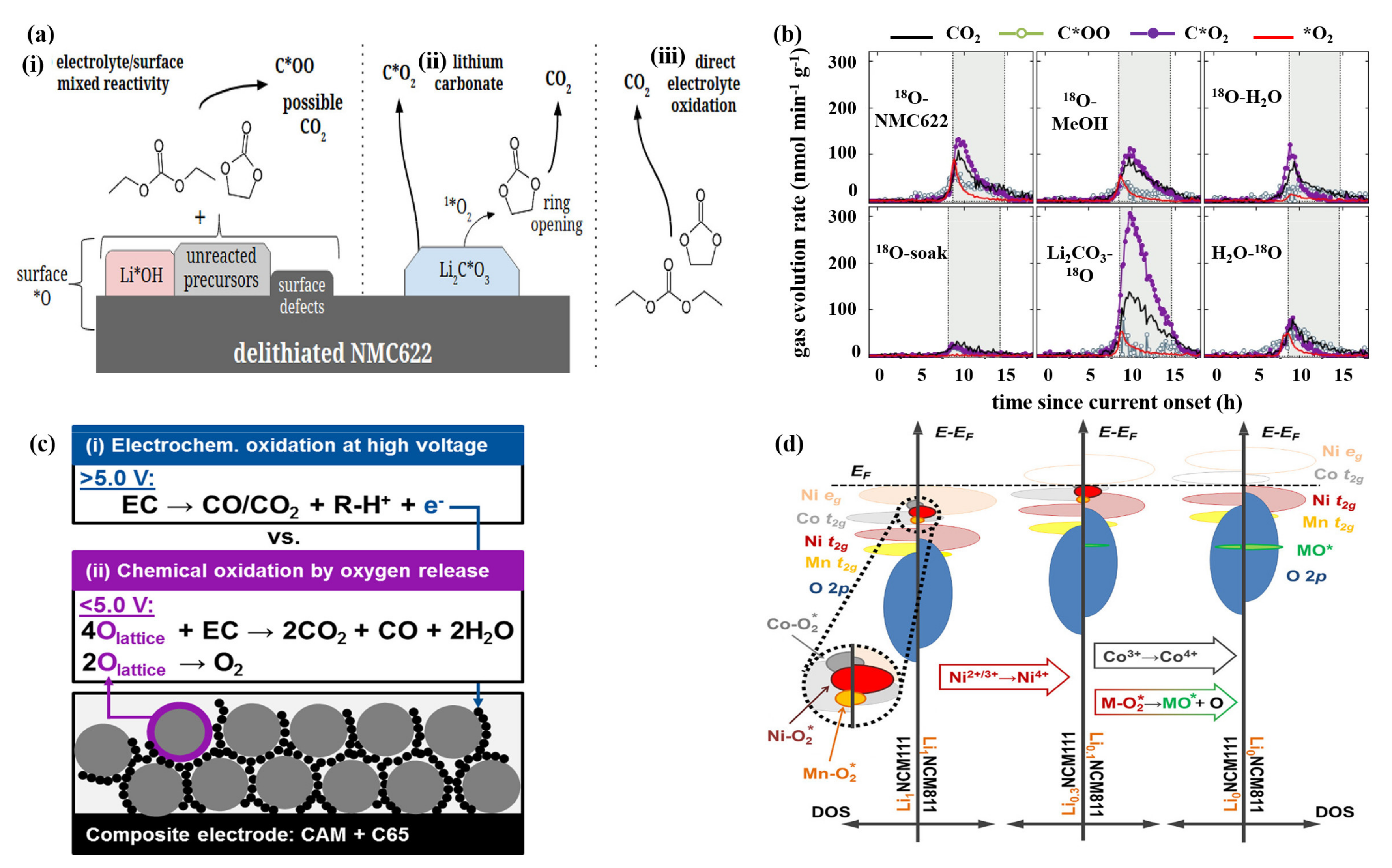Nanomaterials 12 01888 g003