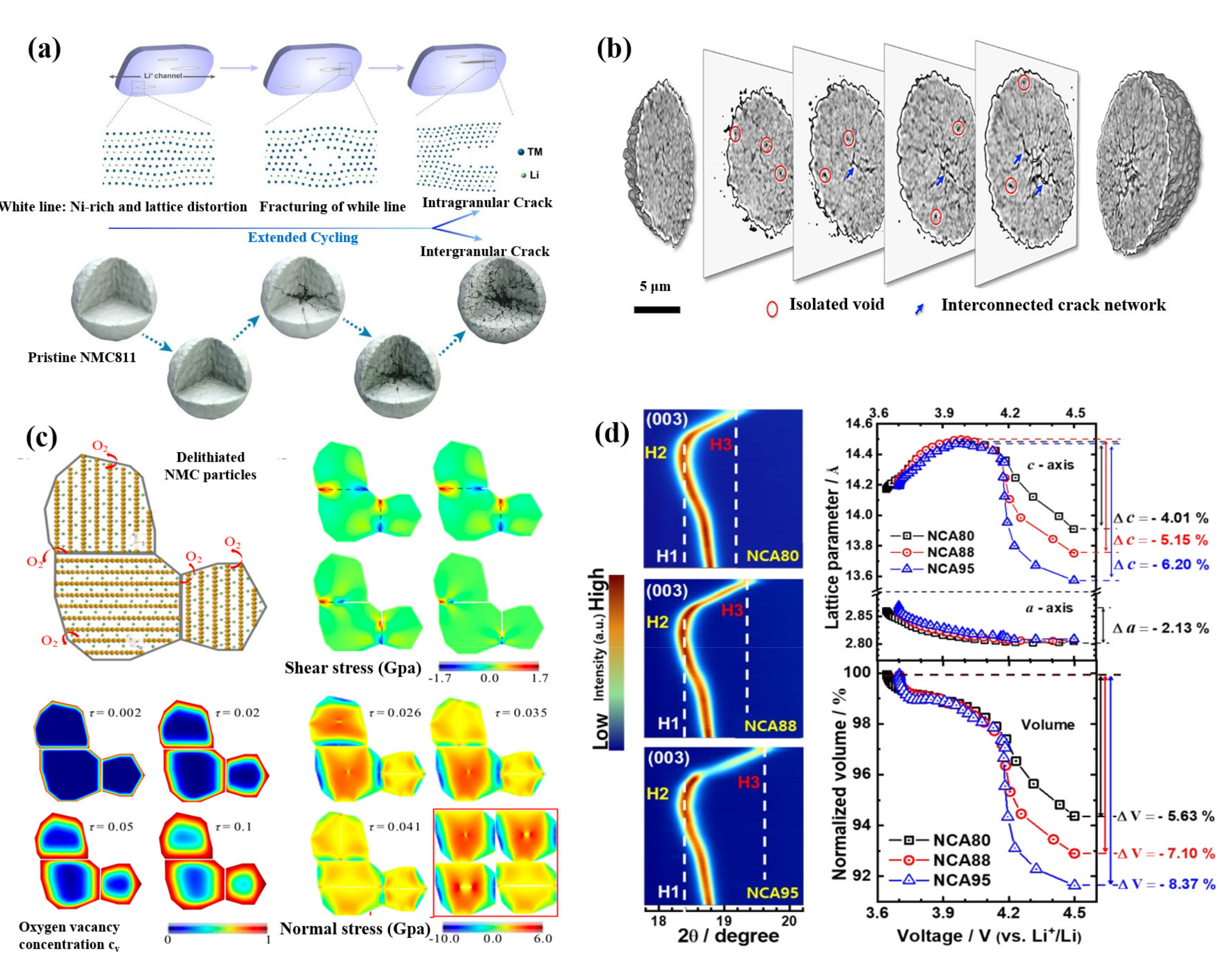 Nanomaterials 12 01888 g005