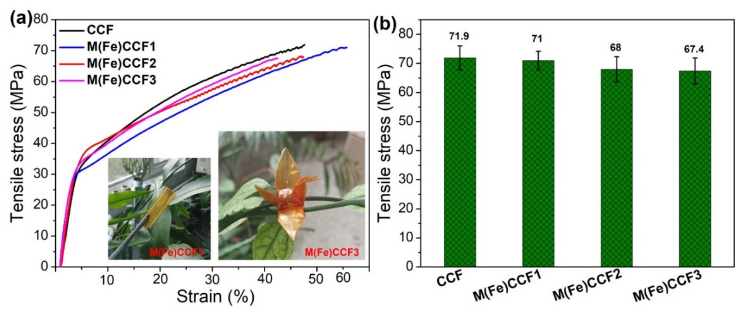 Nanomaterials 12 01891 g011