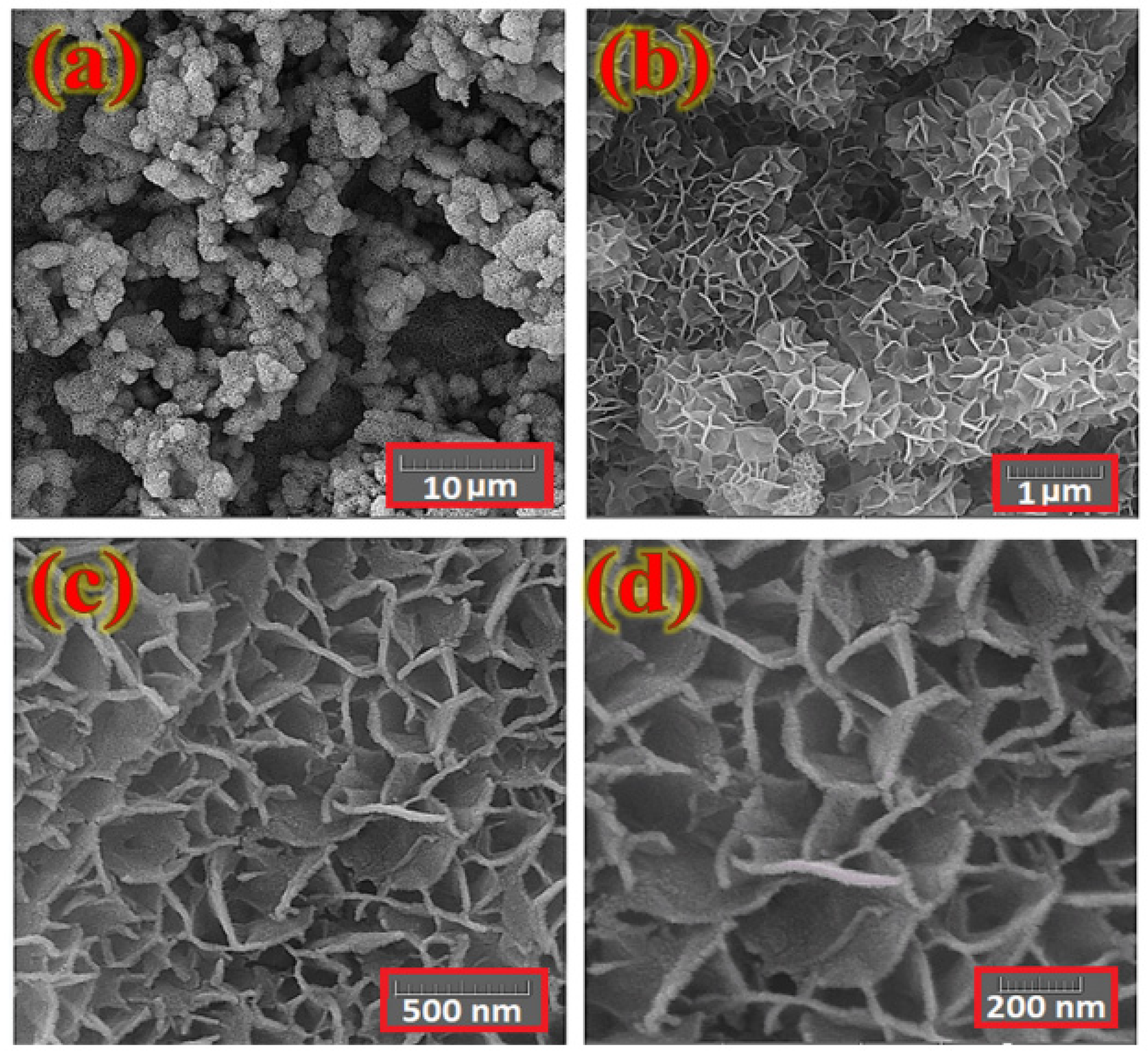 Nanomaterials 12 01894 g003