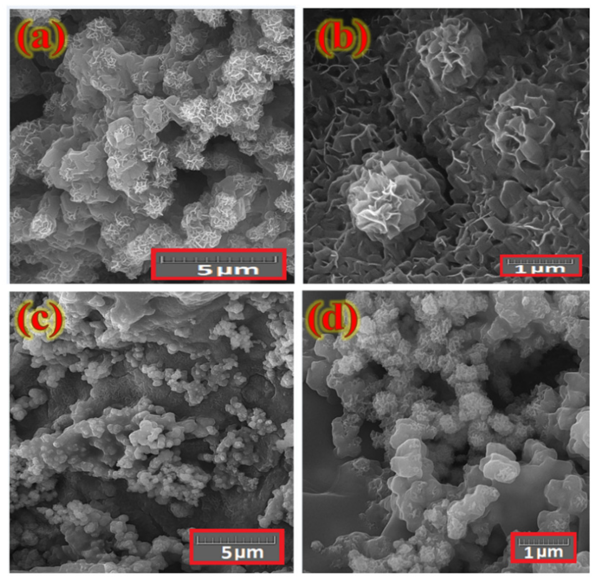 Nanomaterials 12 01894 g010