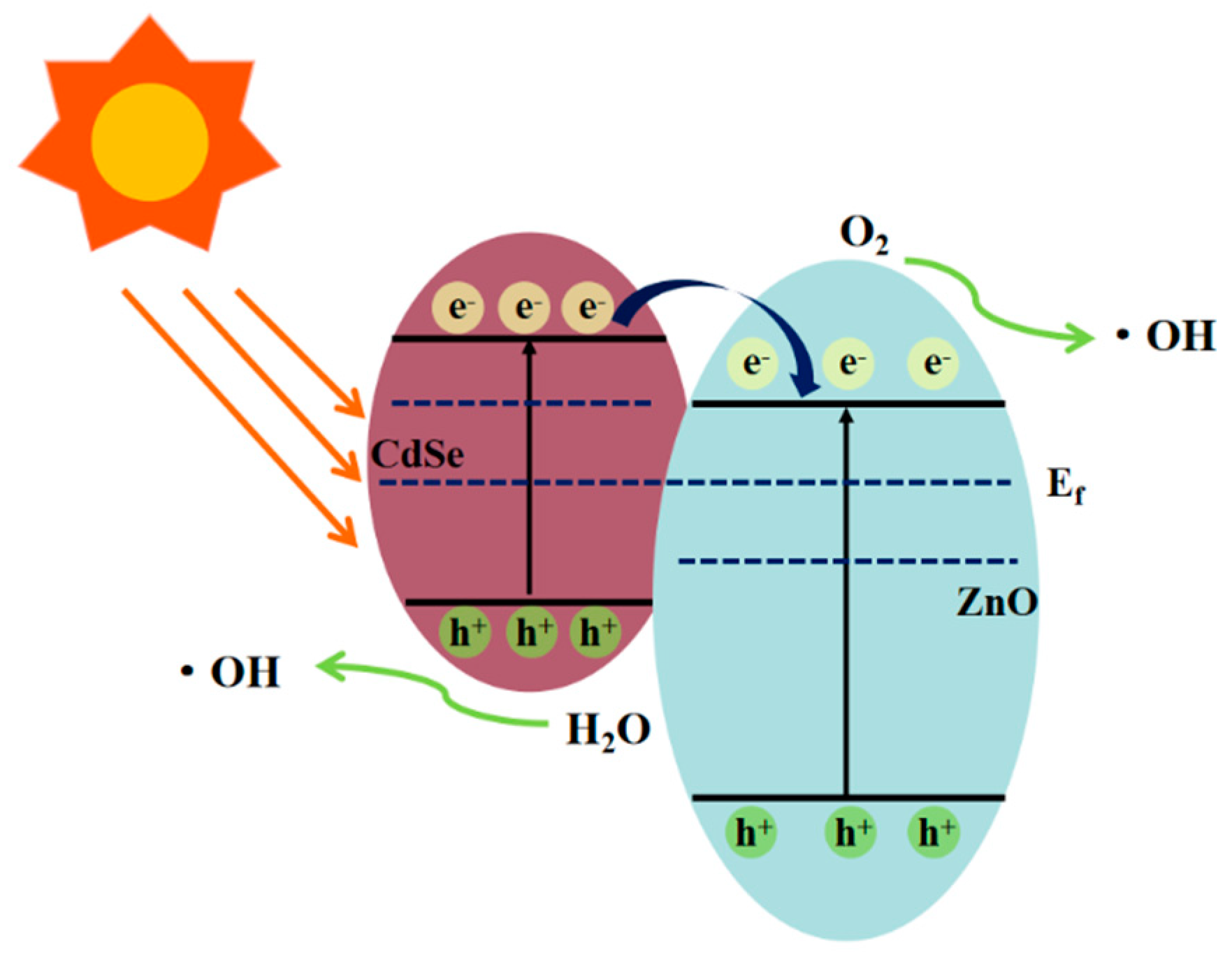 Nanomaterials 12 01898 g010 550