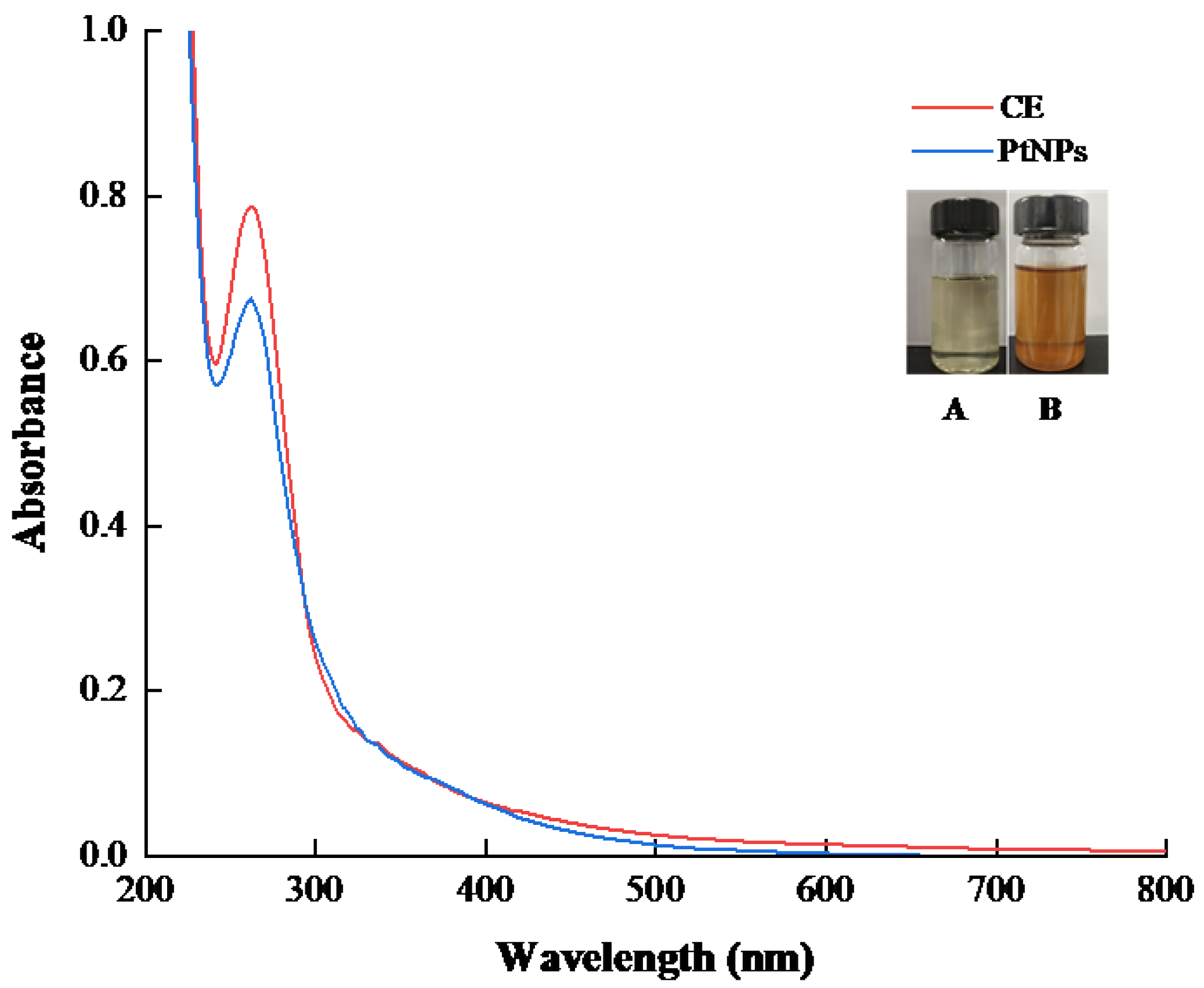 Nanomaterials 12 01904 g001