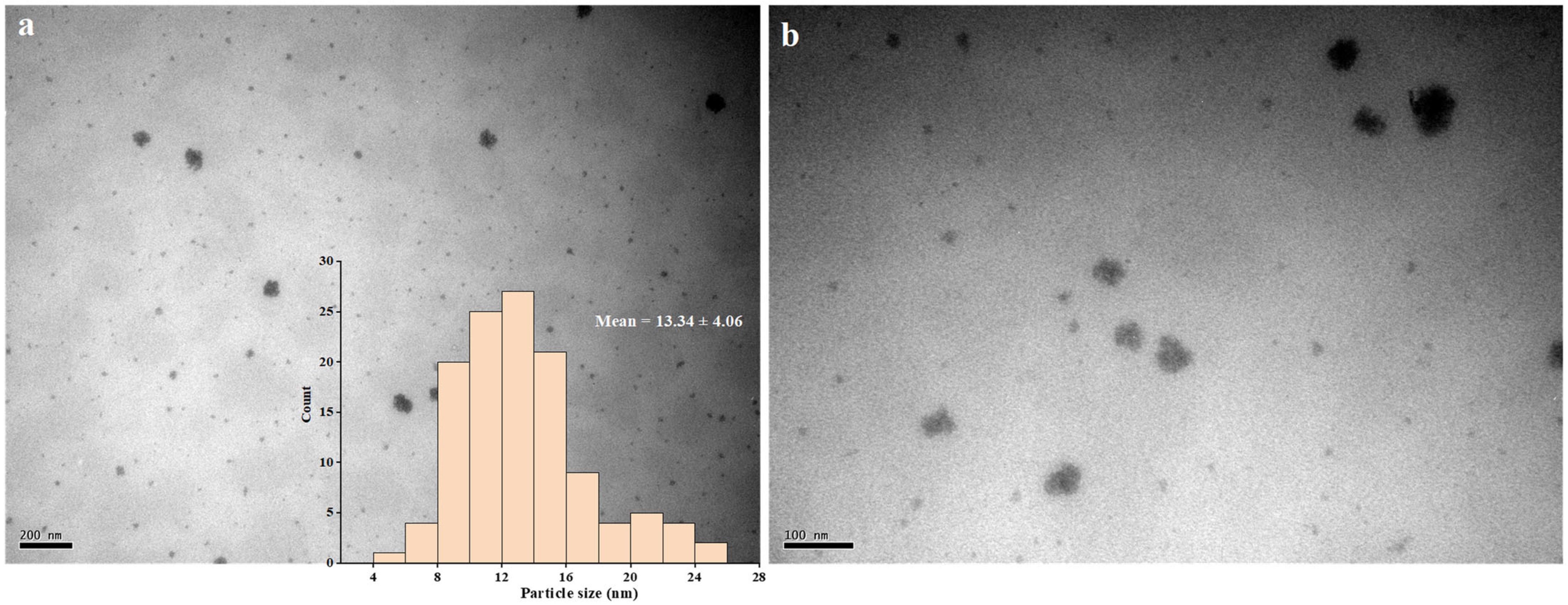 Nanomaterials 12 01904 g006