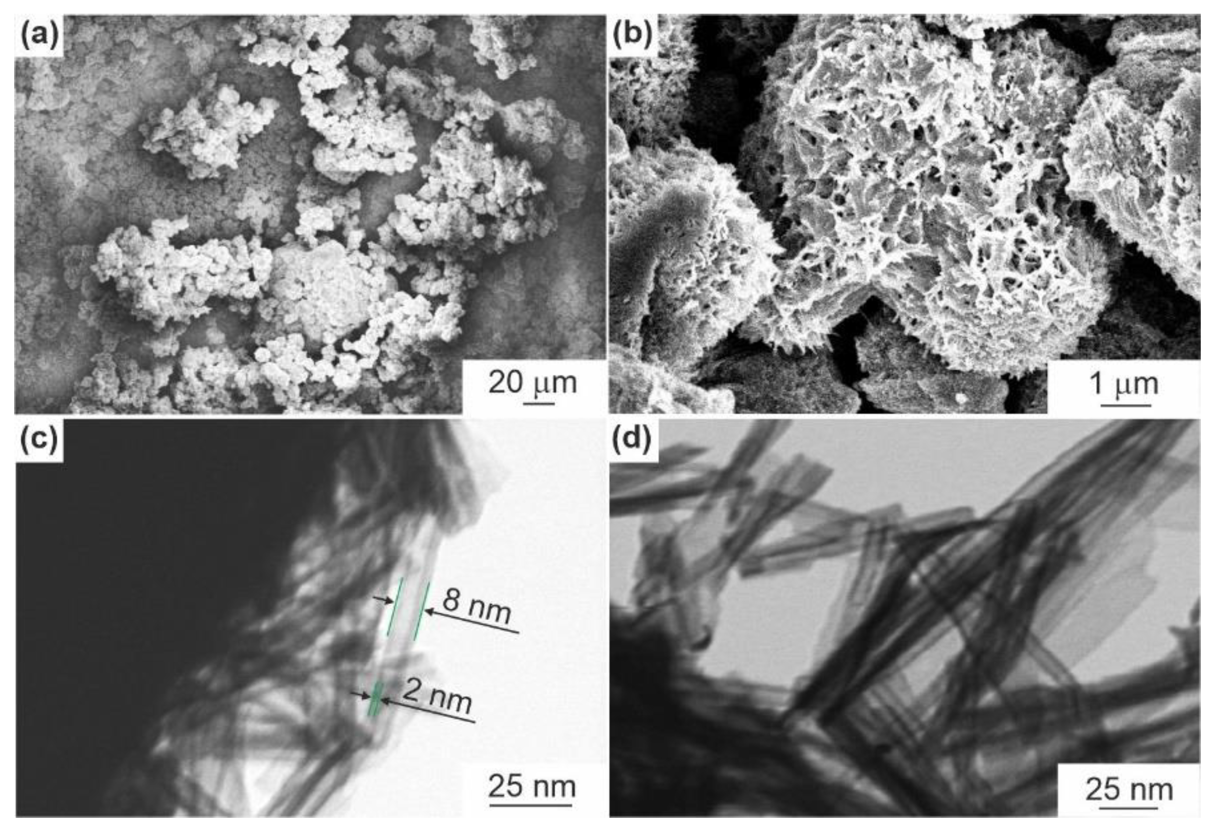 Nanomaterials 12 01905 g002