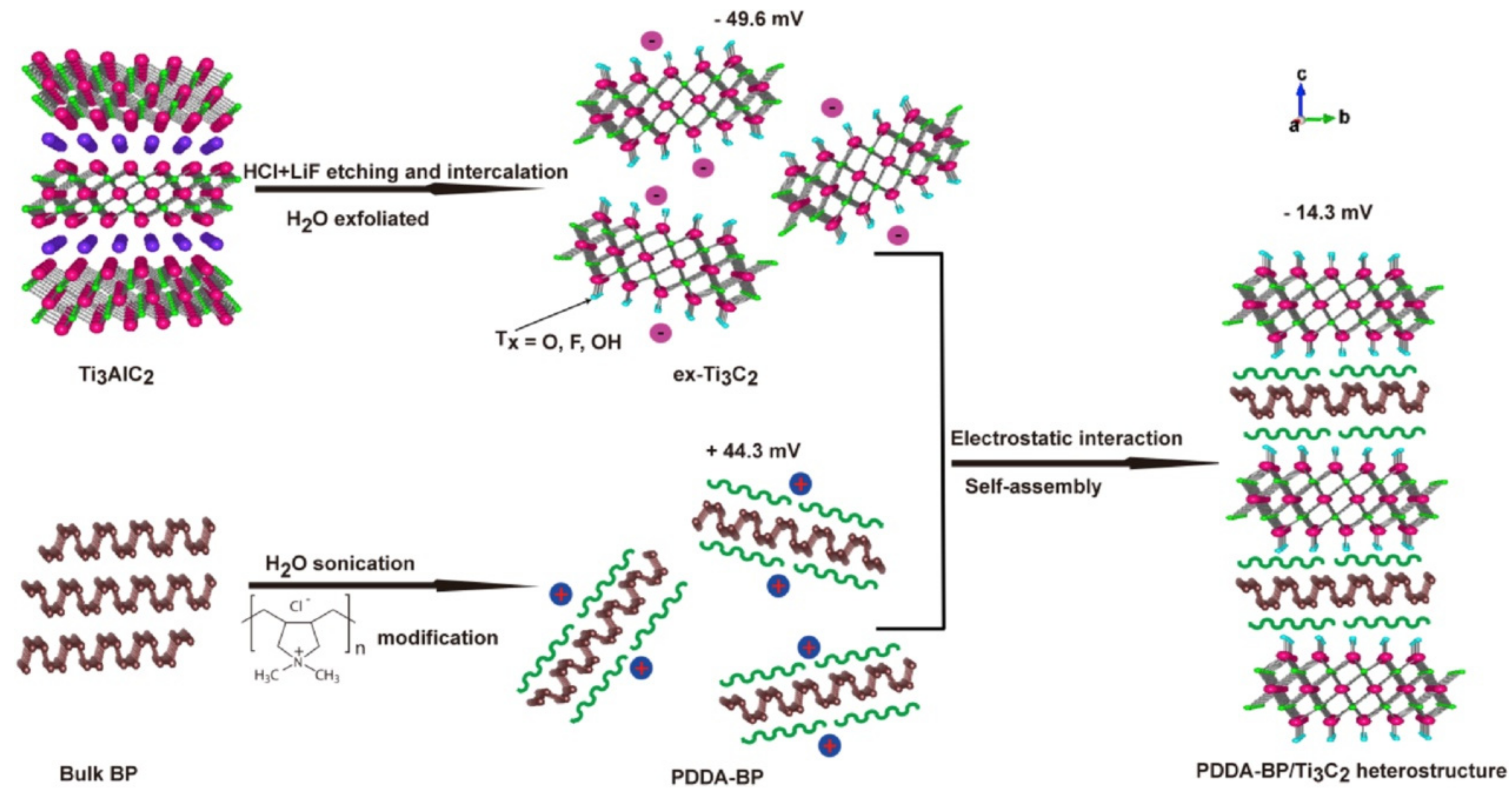 Nanomaterials 12 01907 g005 550