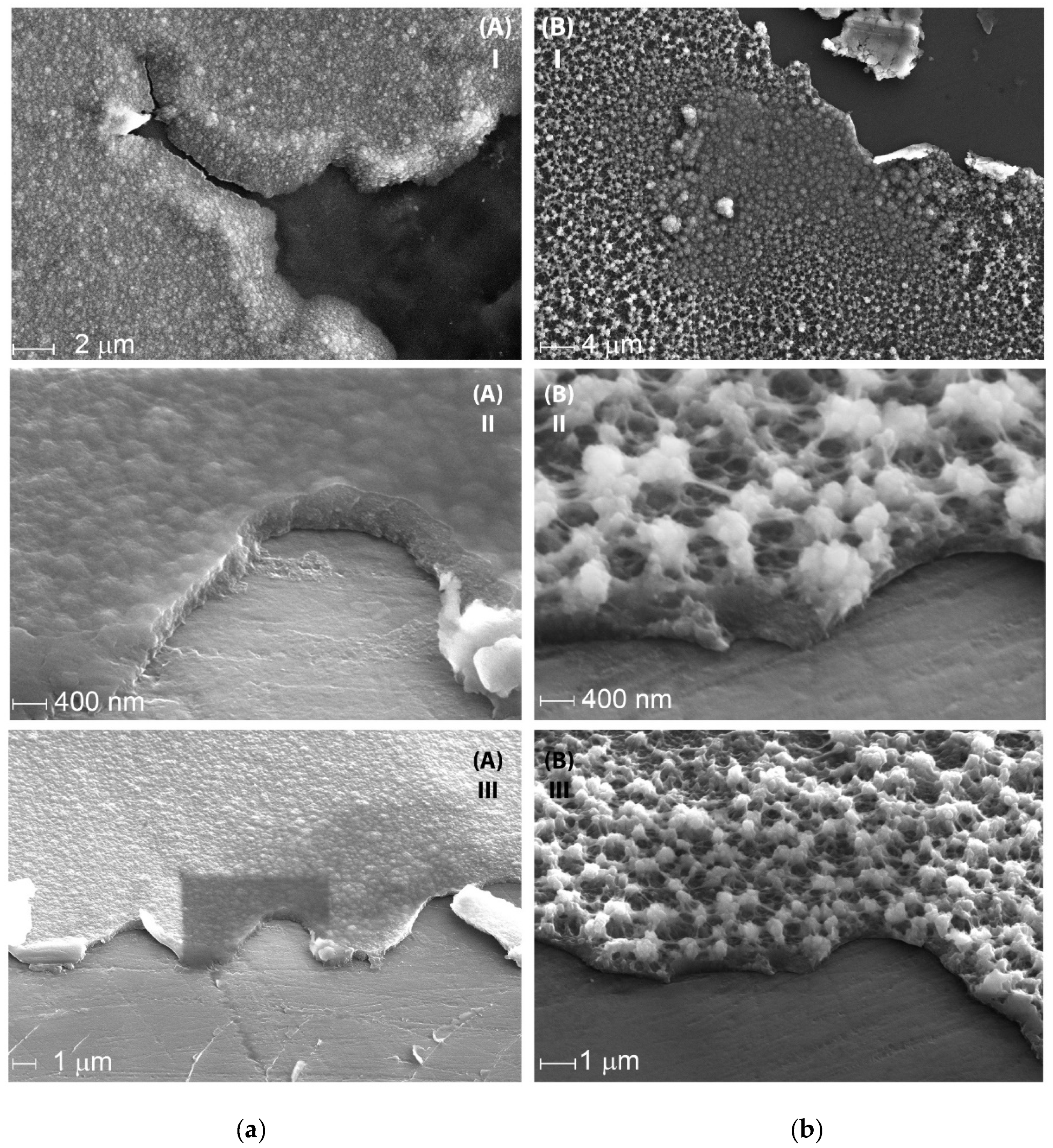 Nanomaterials 12 01917 g007a