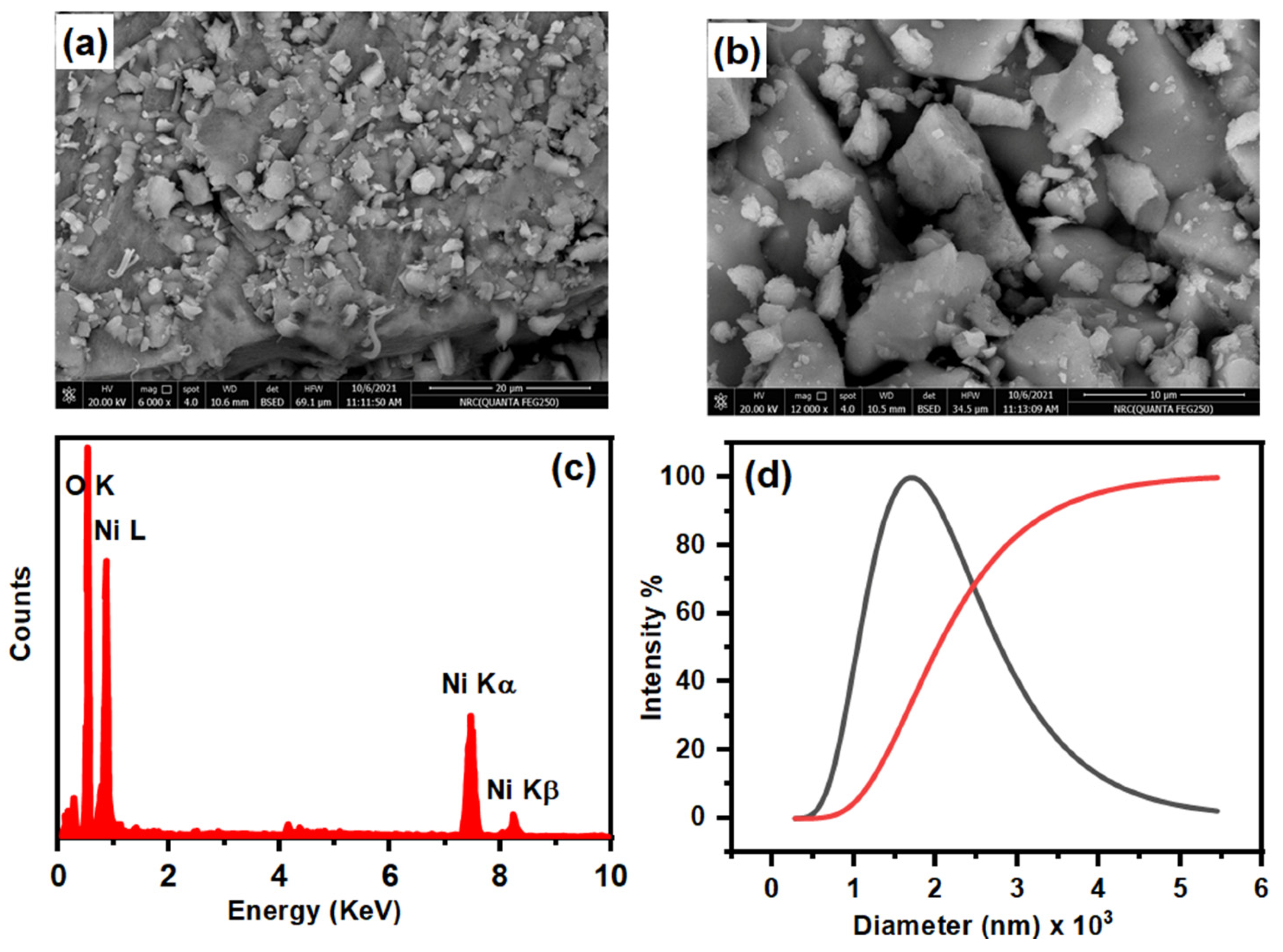Nanomaterials 12 01919 g002