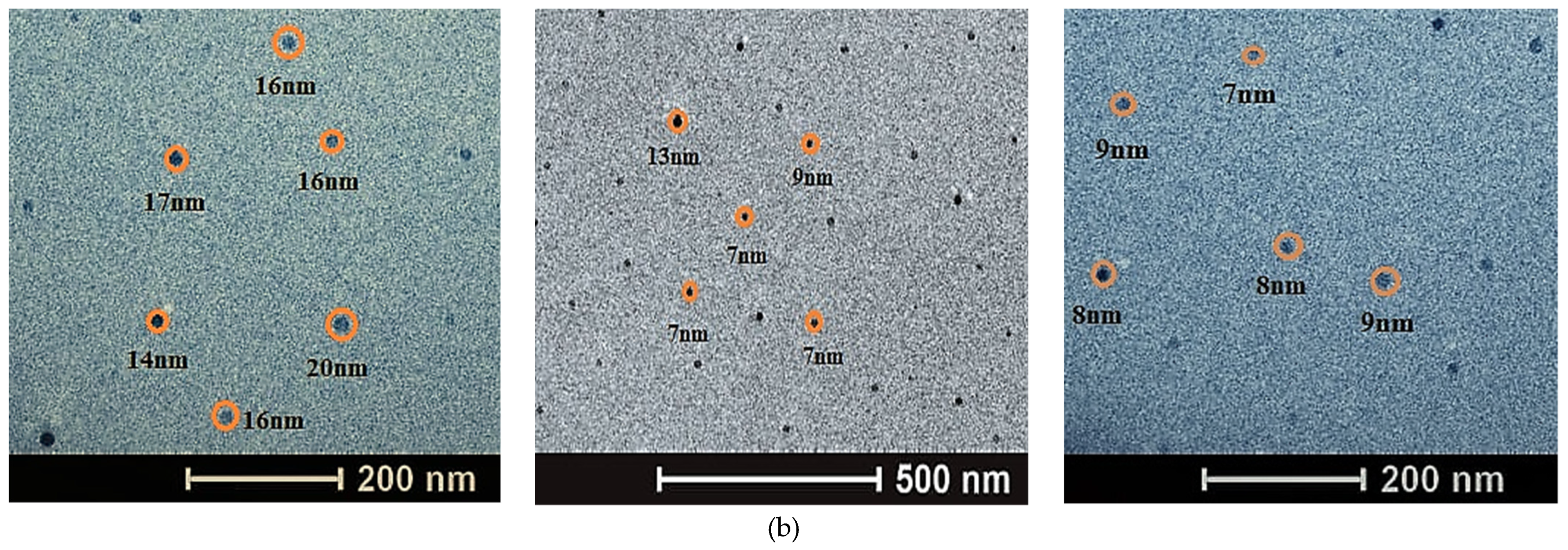Nanomaterials 12 01921 g006b