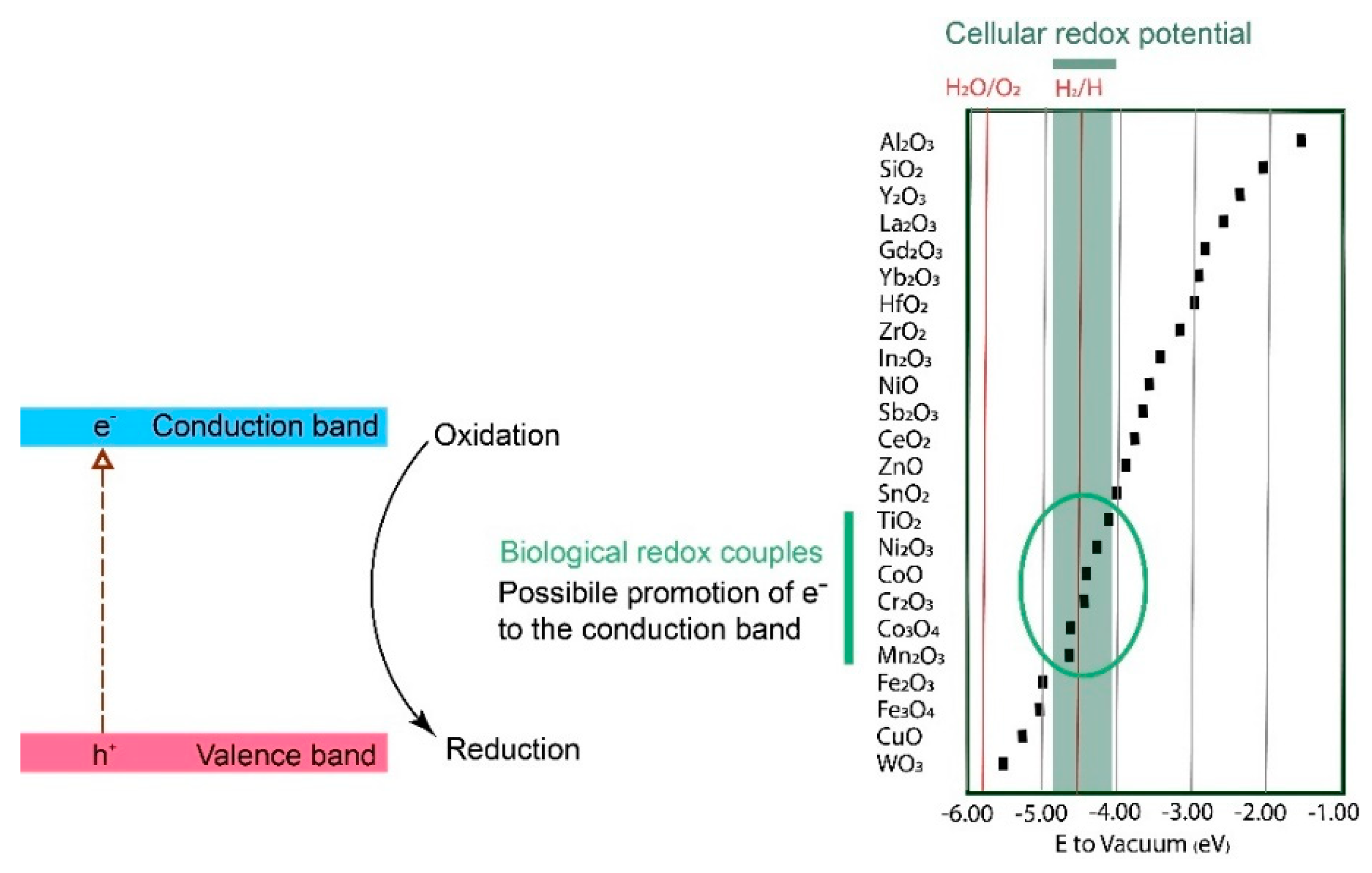 Nanomaterials 12 01922 g007
