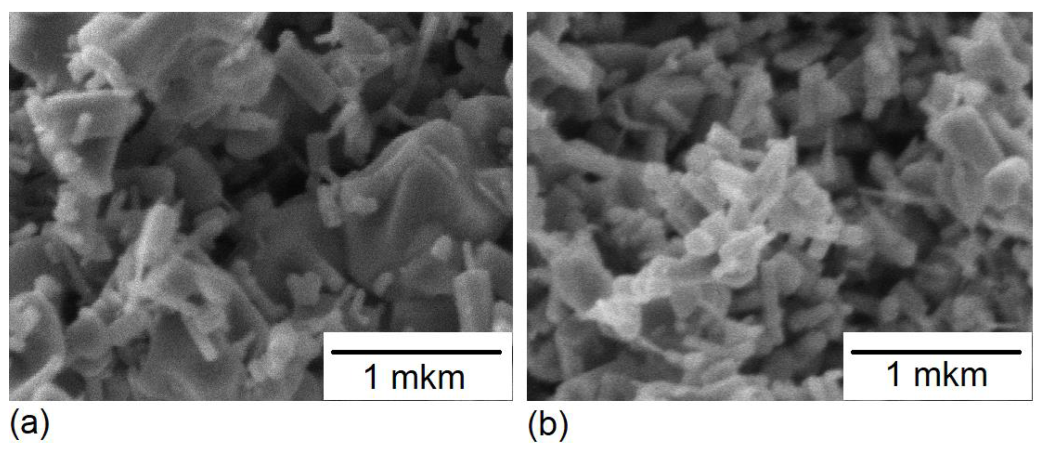Nanomaterials 12 01924 g001