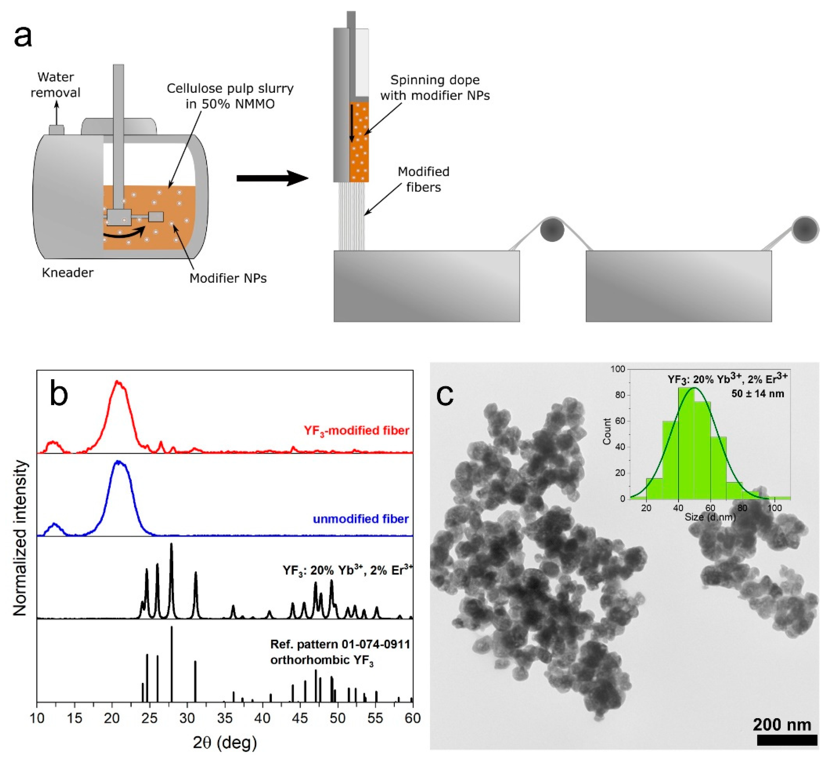 Nanomaterials 12 01926 g001
