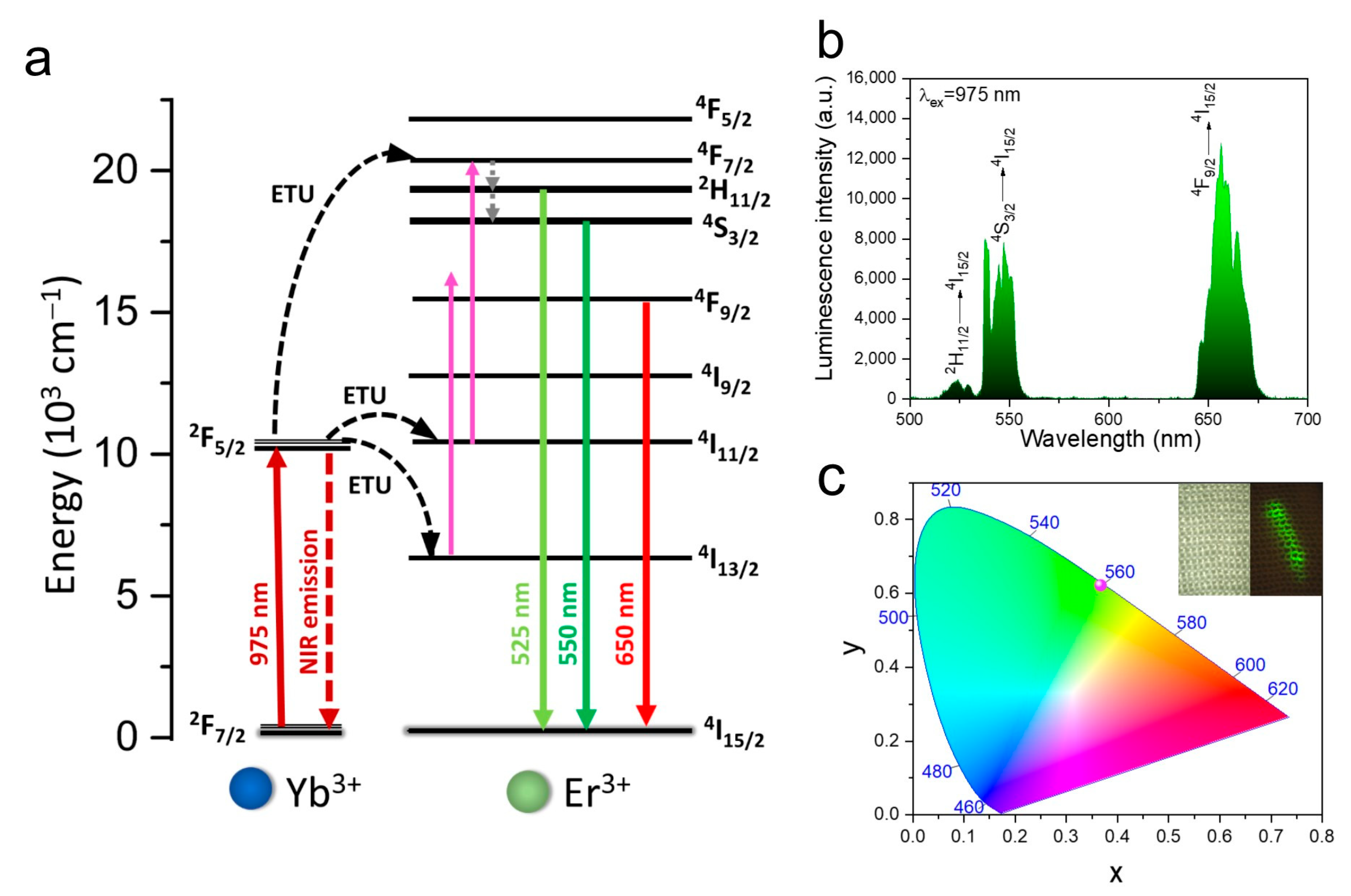Nanomaterials 12 01926 g003