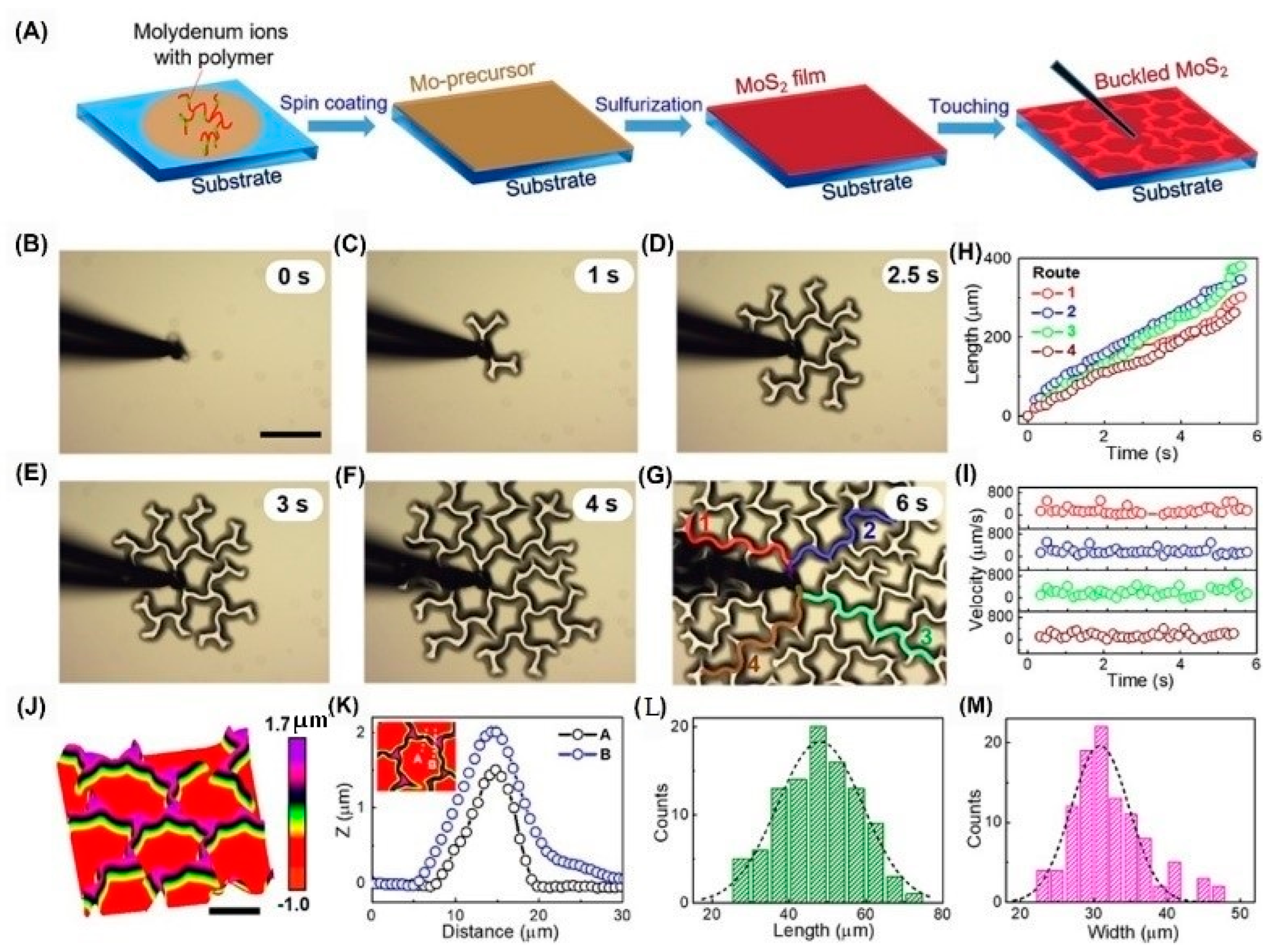 Nanomaterials 12 01929 g005