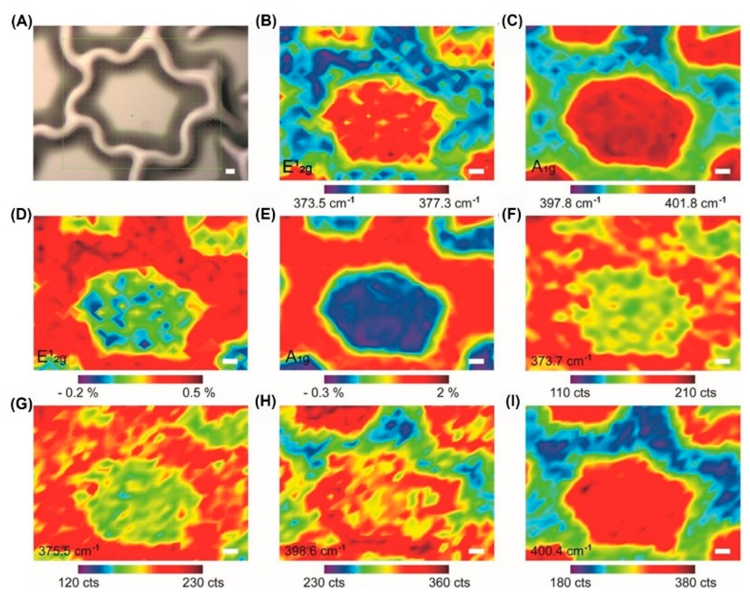 Nanomaterials 12 01929 g006