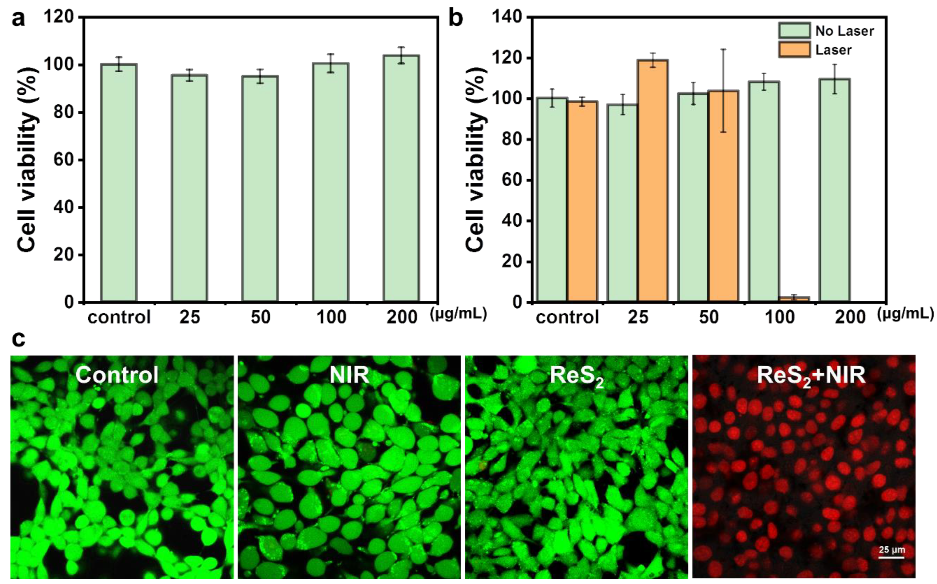 Nanomaterials 12 01937 g003 550