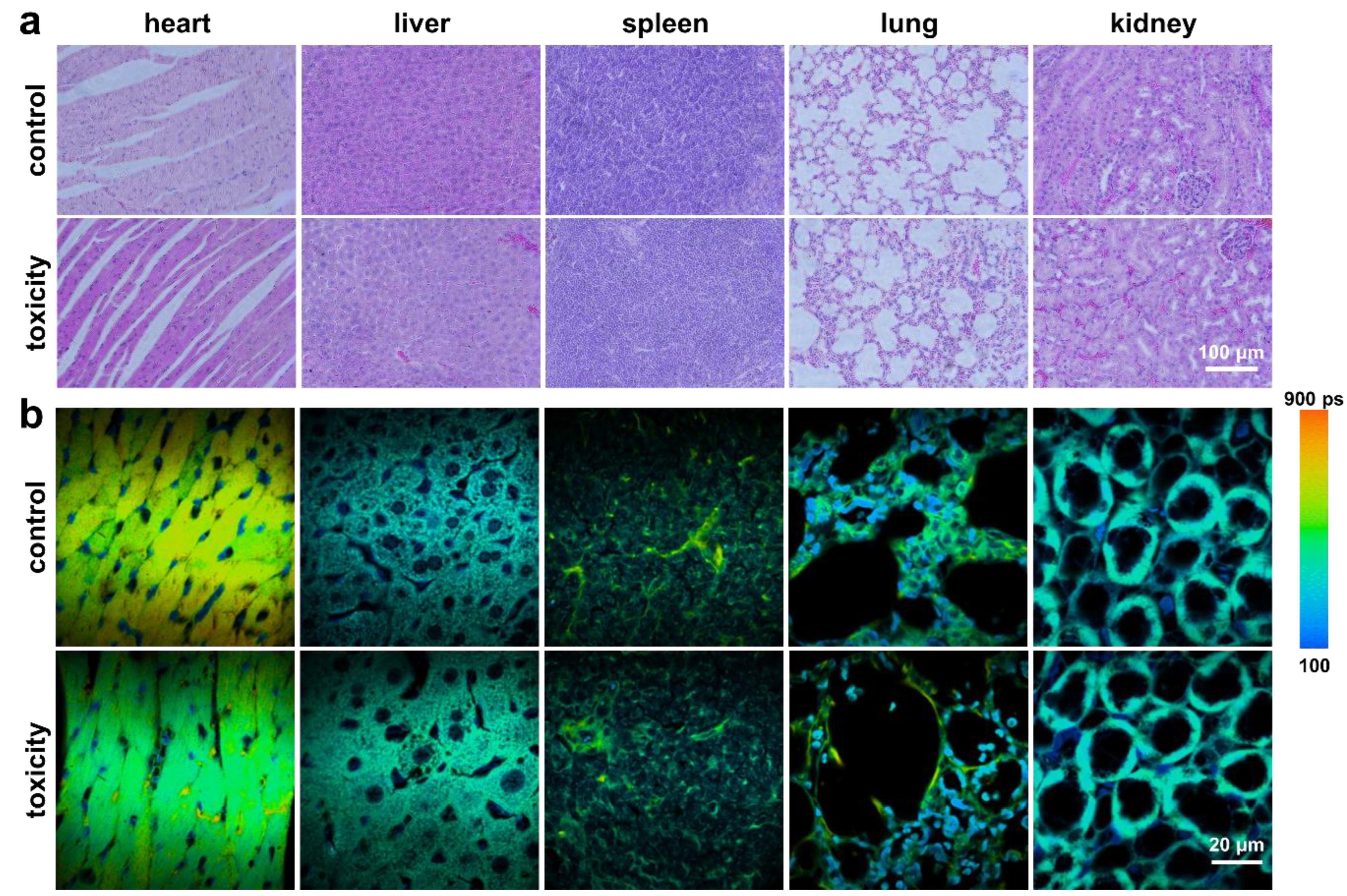 Nanomaterials 12 01937 g005 550