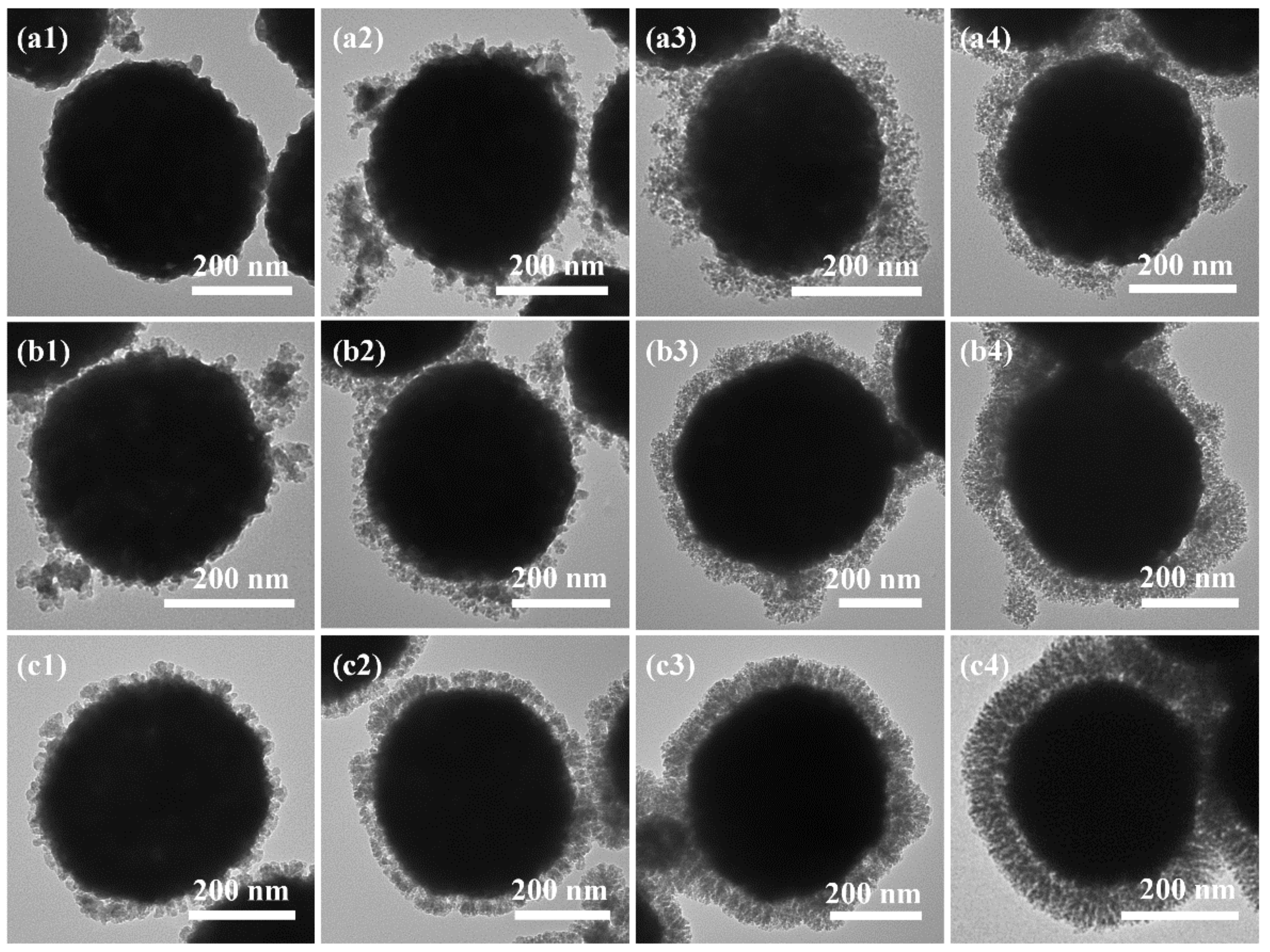 Nanomaterials 12 01940 g005 550