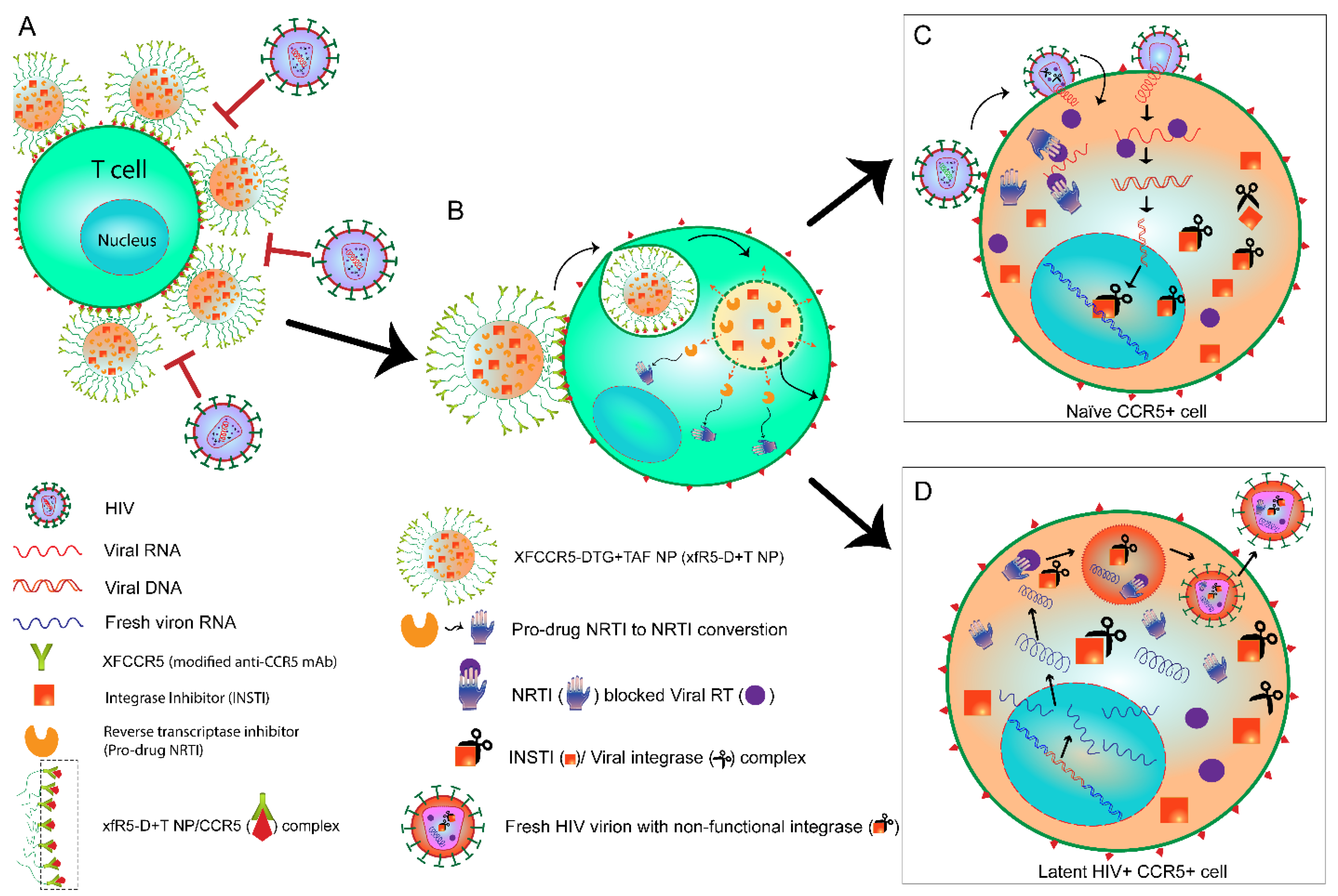 Nanomaterials 12 01942 g001
