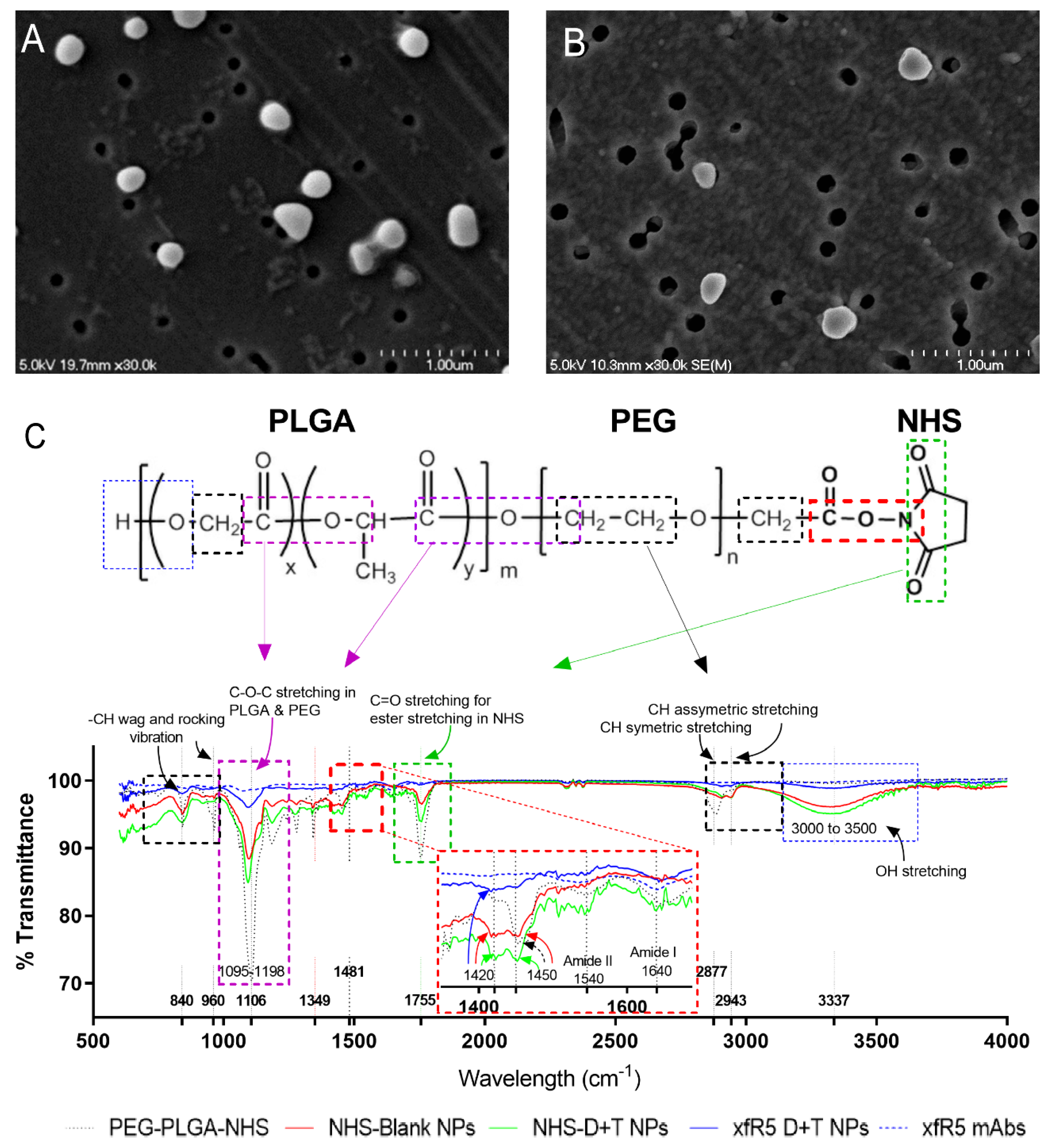 Nanomaterials 12 01942 g002