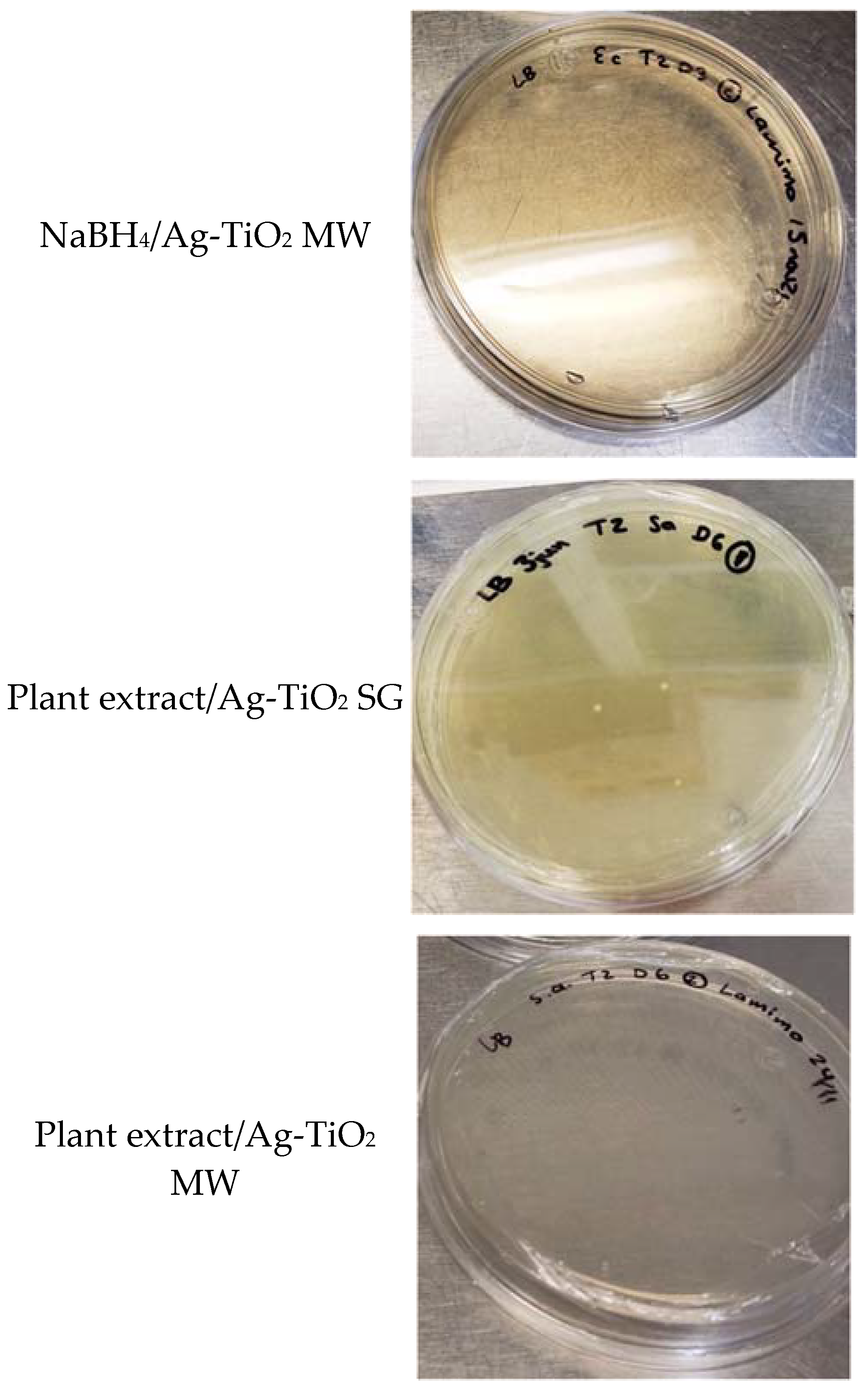 Nanomaterials 12 01944 g011b 550