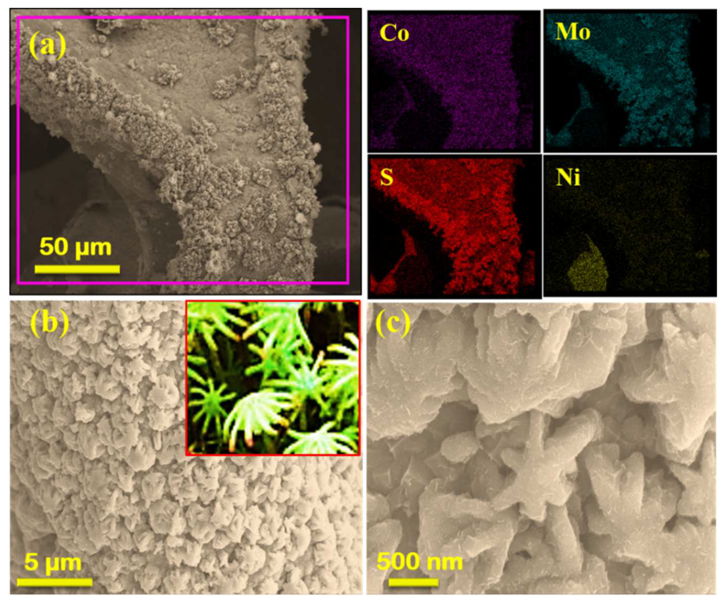 Nanomaterials 12 01945 g002