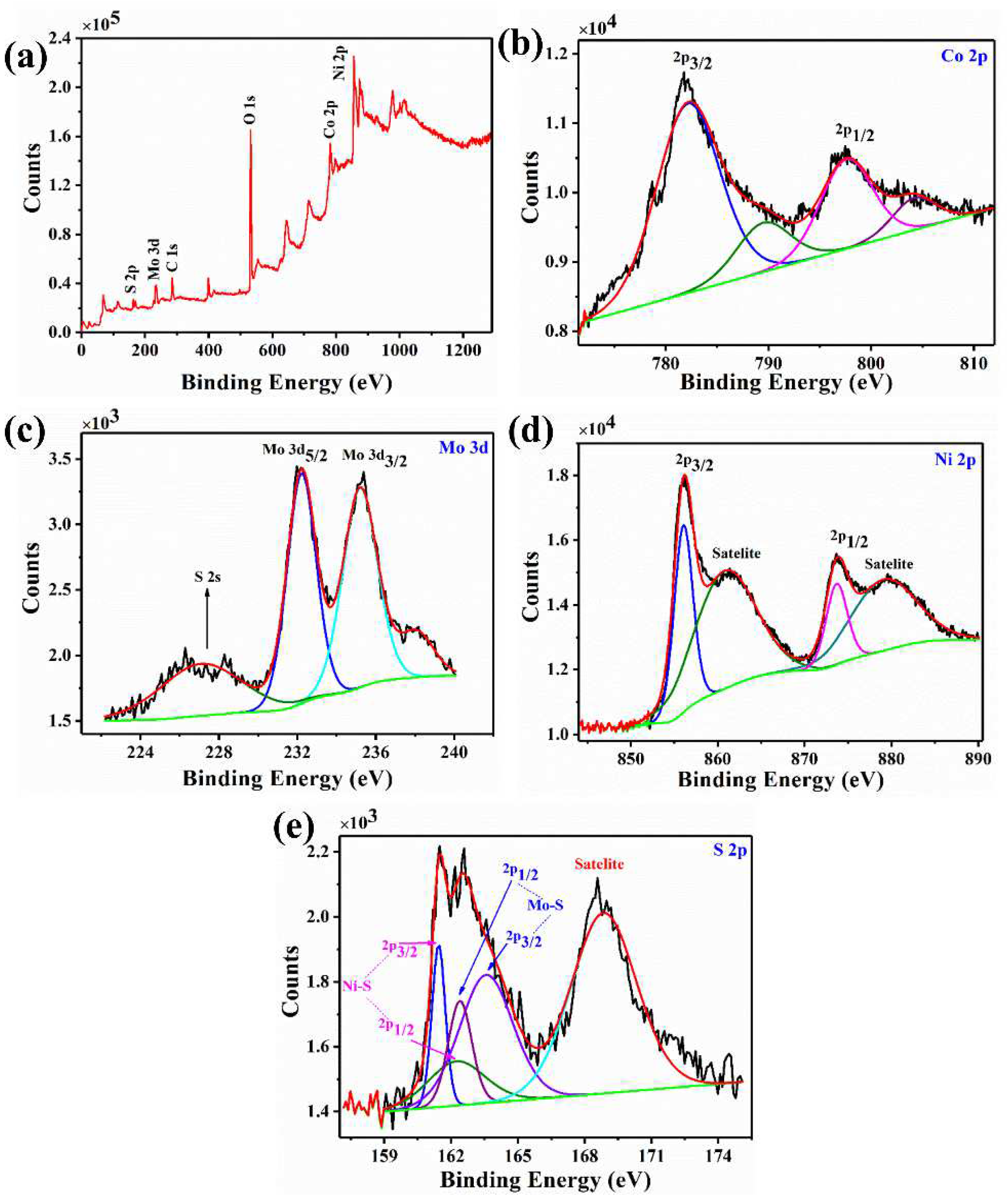 Nanomaterials 12 01945 g005