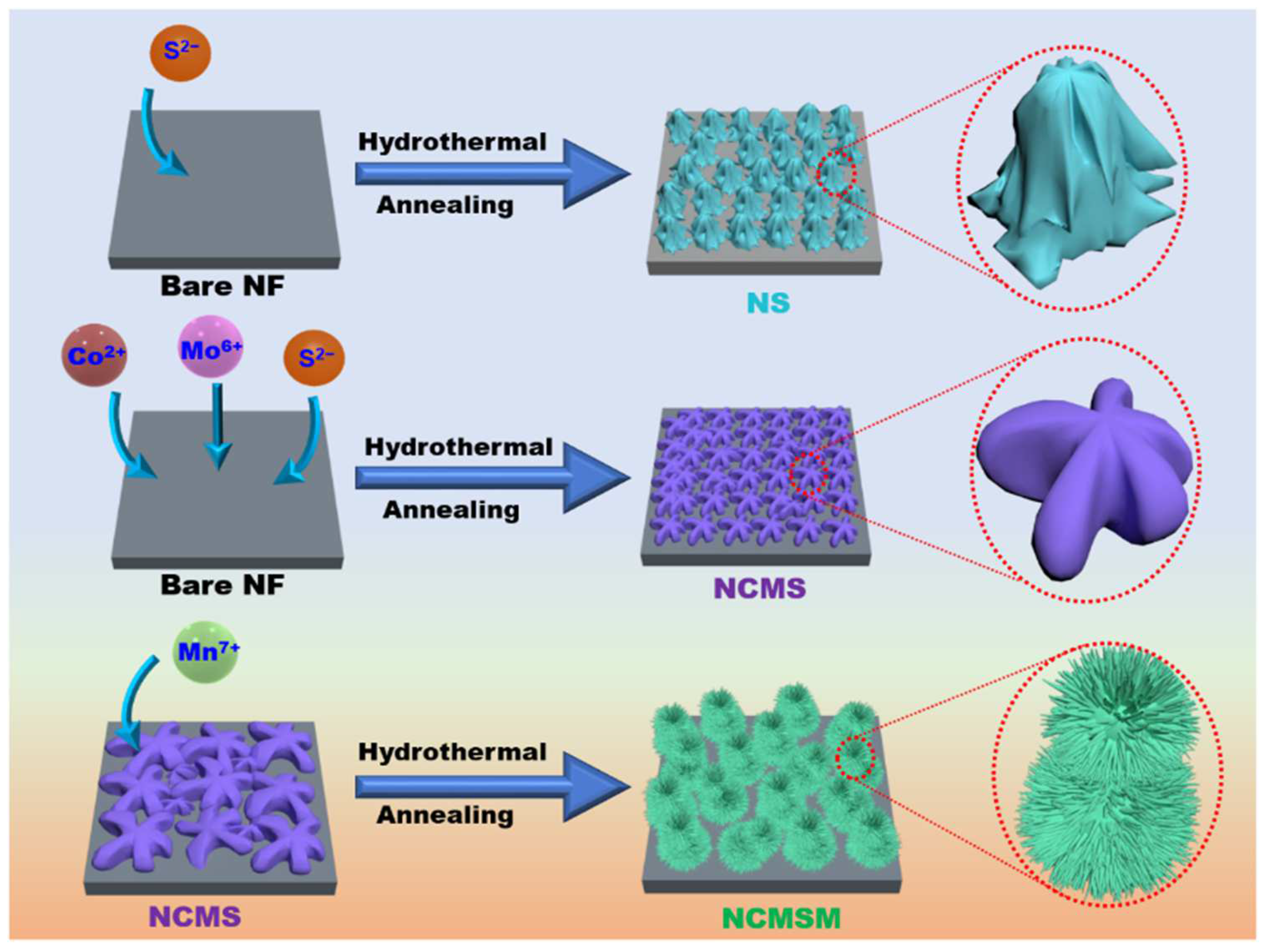Nanomaterials 12 01945 g007