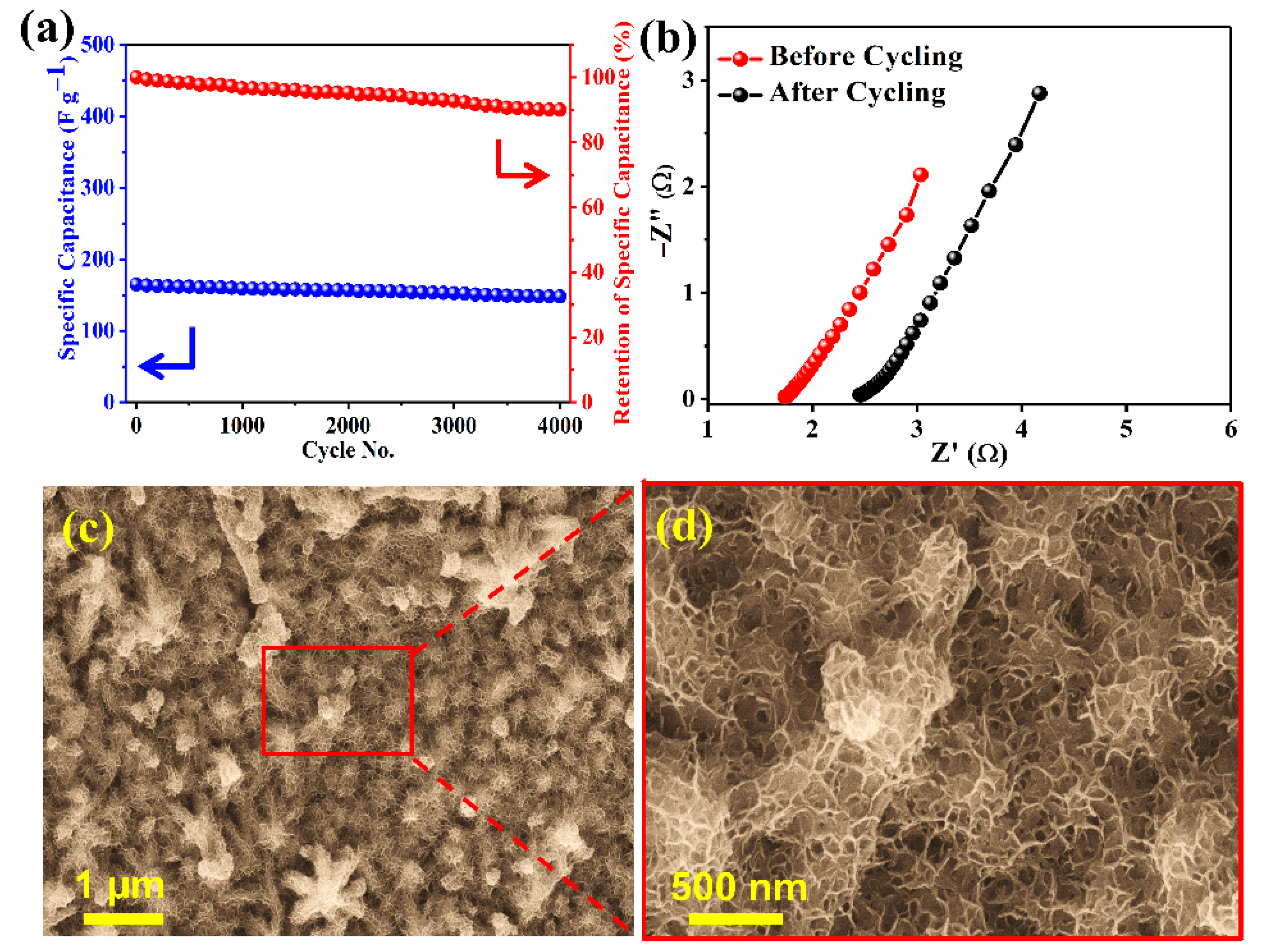 Nanomaterials 12 01945 g010