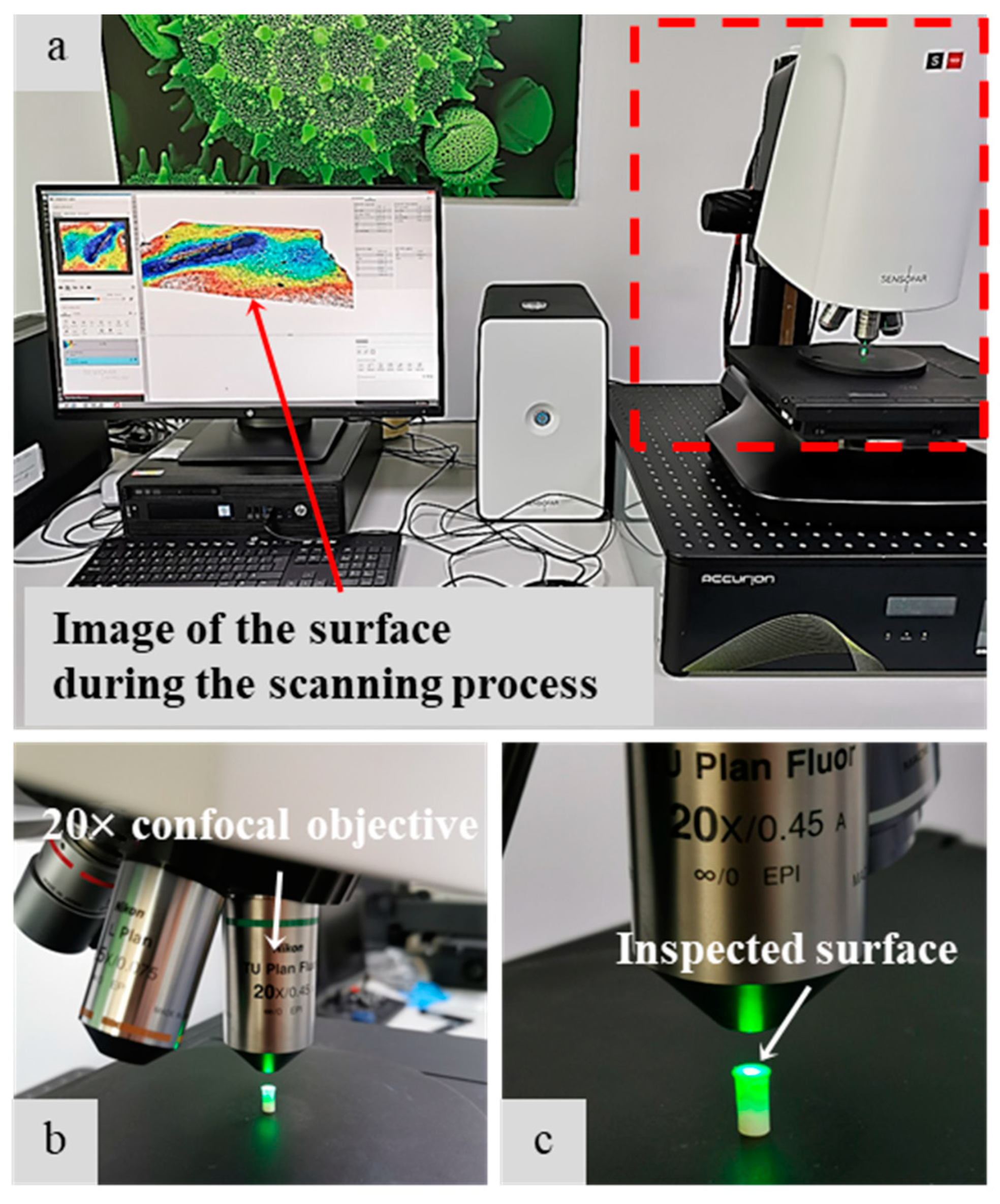 Nanomaterials 12 01951 g005