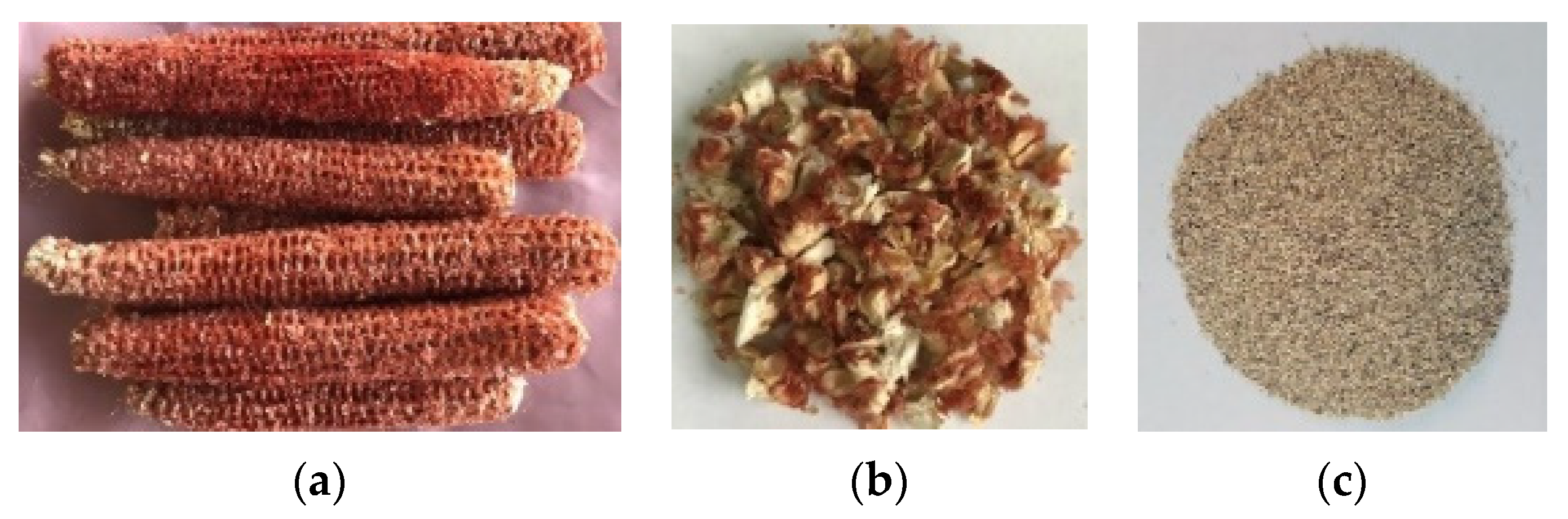 Nanomaterials 12 01960 g001