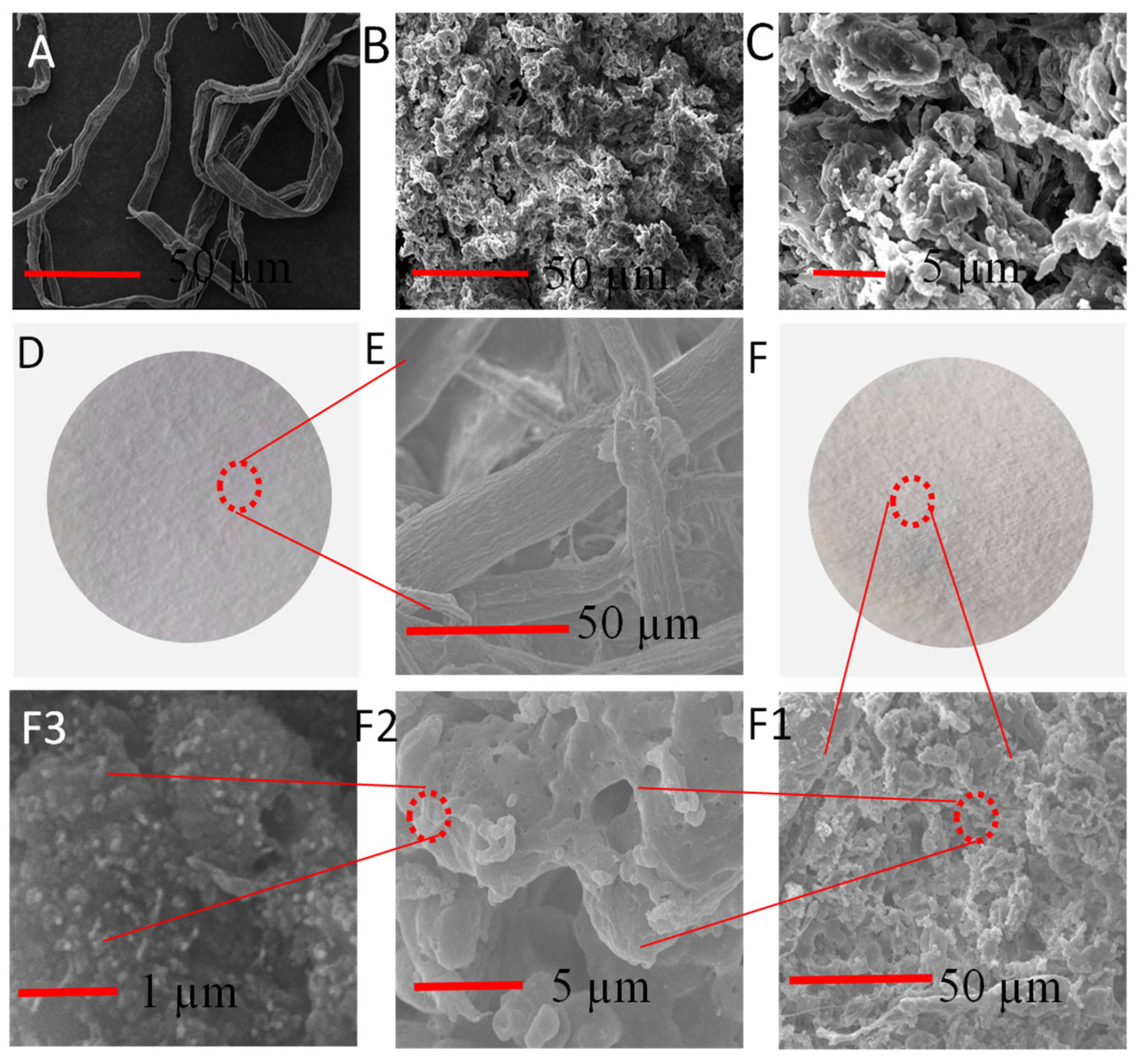 Nanomaterials 12 01964 g004 550