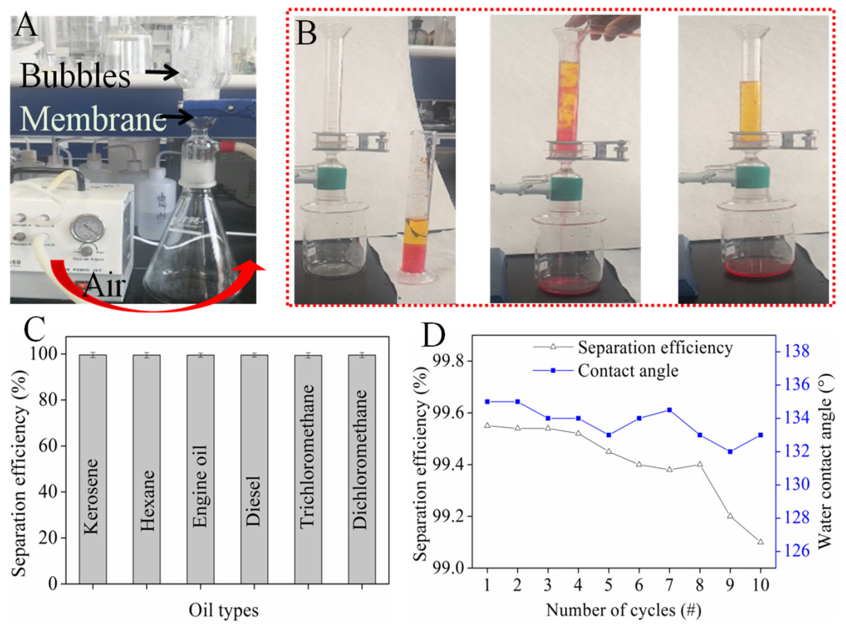 Nanomaterials 12 01964 g006 550