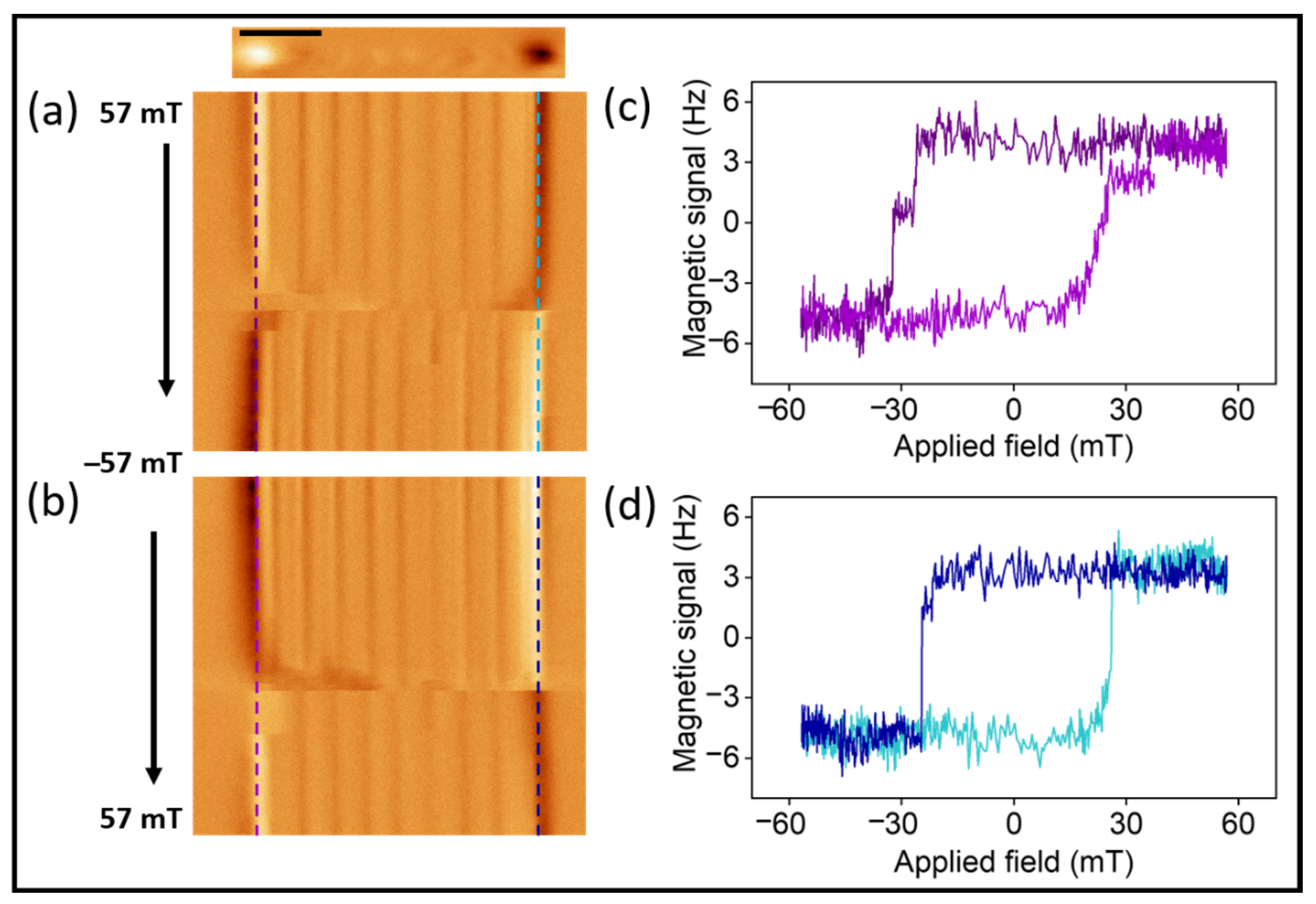 Nanomaterials 12 01968 g003