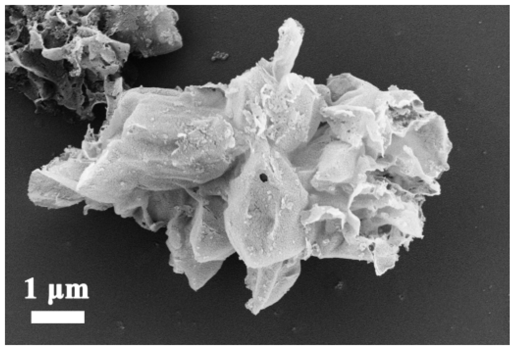 Nanomaterials 12 01981 g001