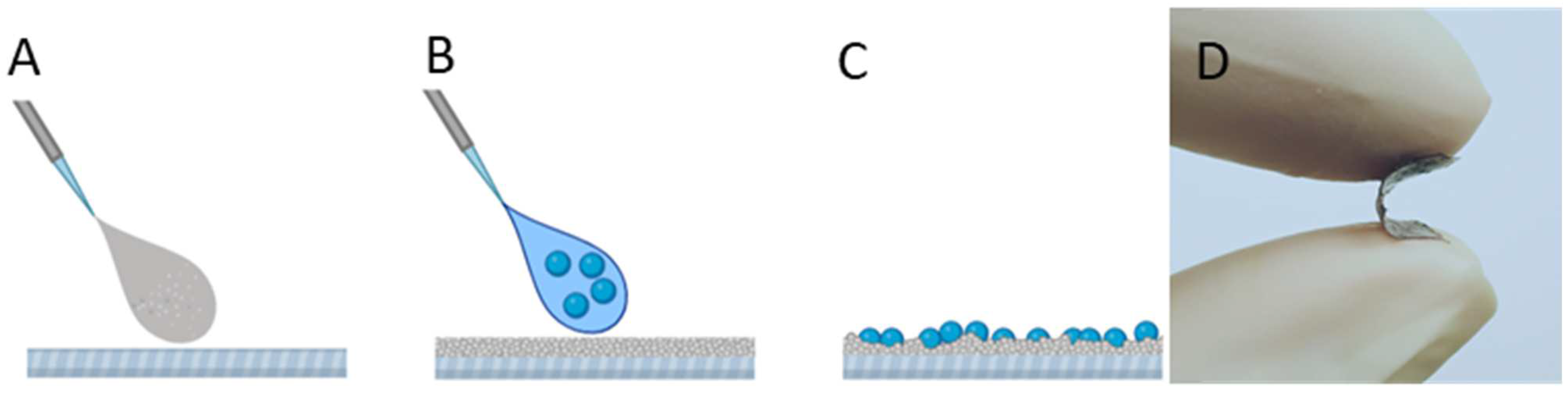 Nanomaterials 12 01984 g001