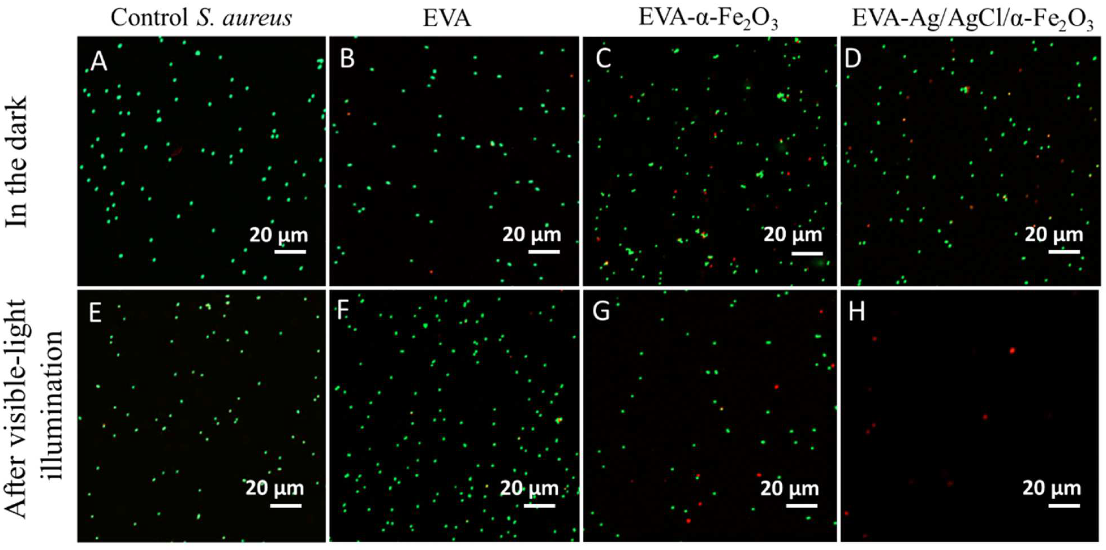 Nanomaterials 12 01984 g007
