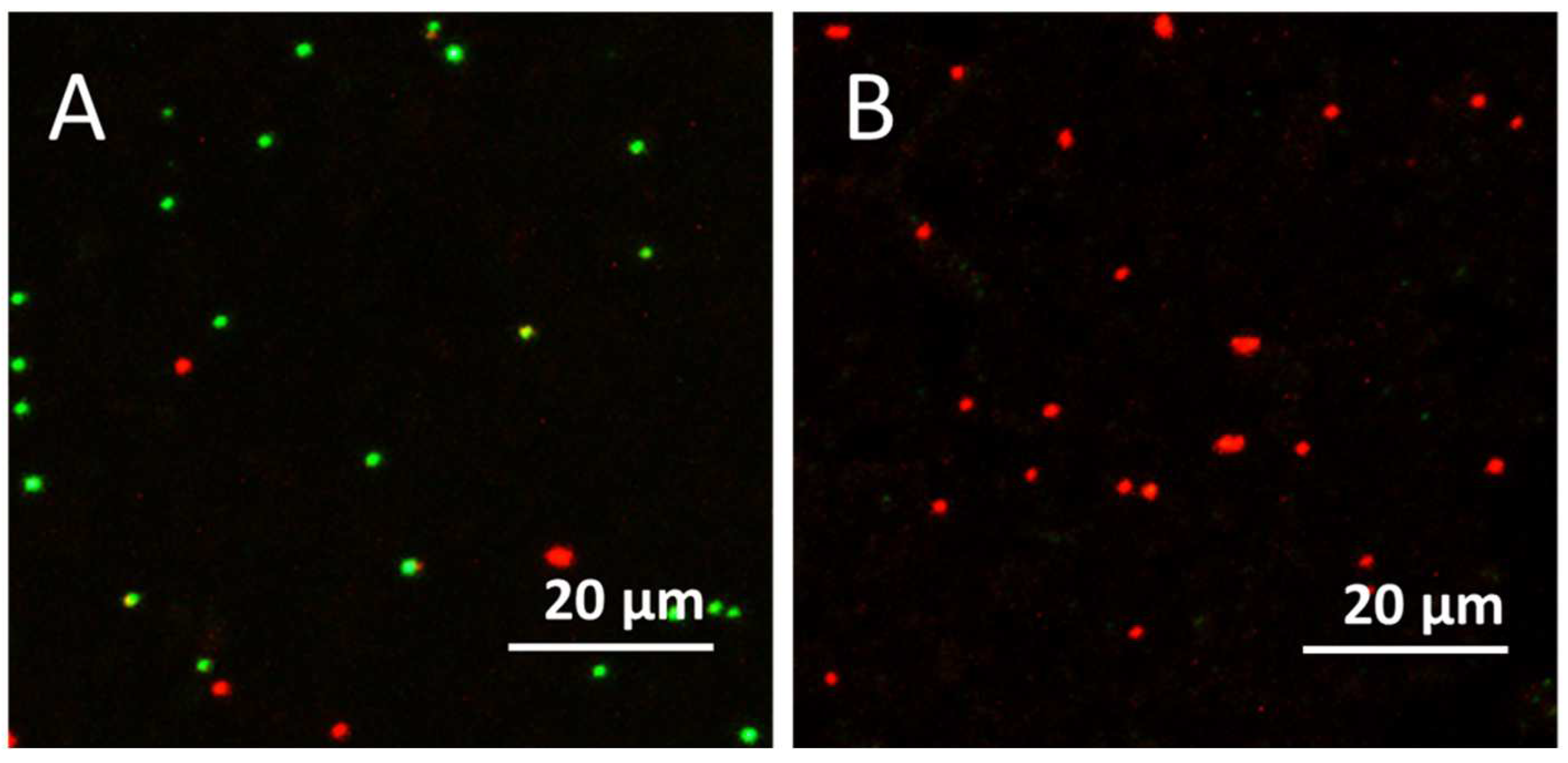 Nanomaterials 12 01984 g008