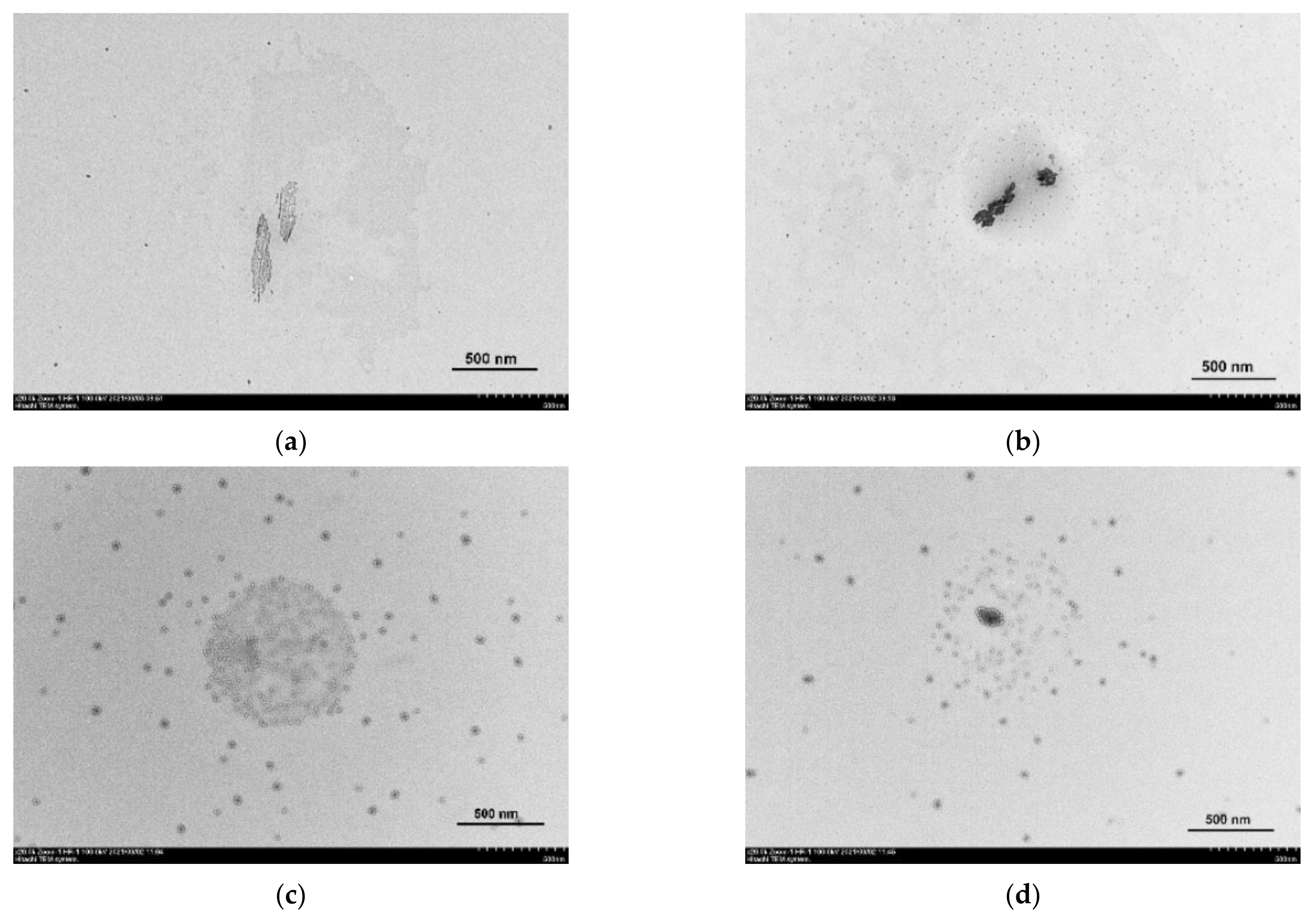 Nanomaterials 12 01986 g006