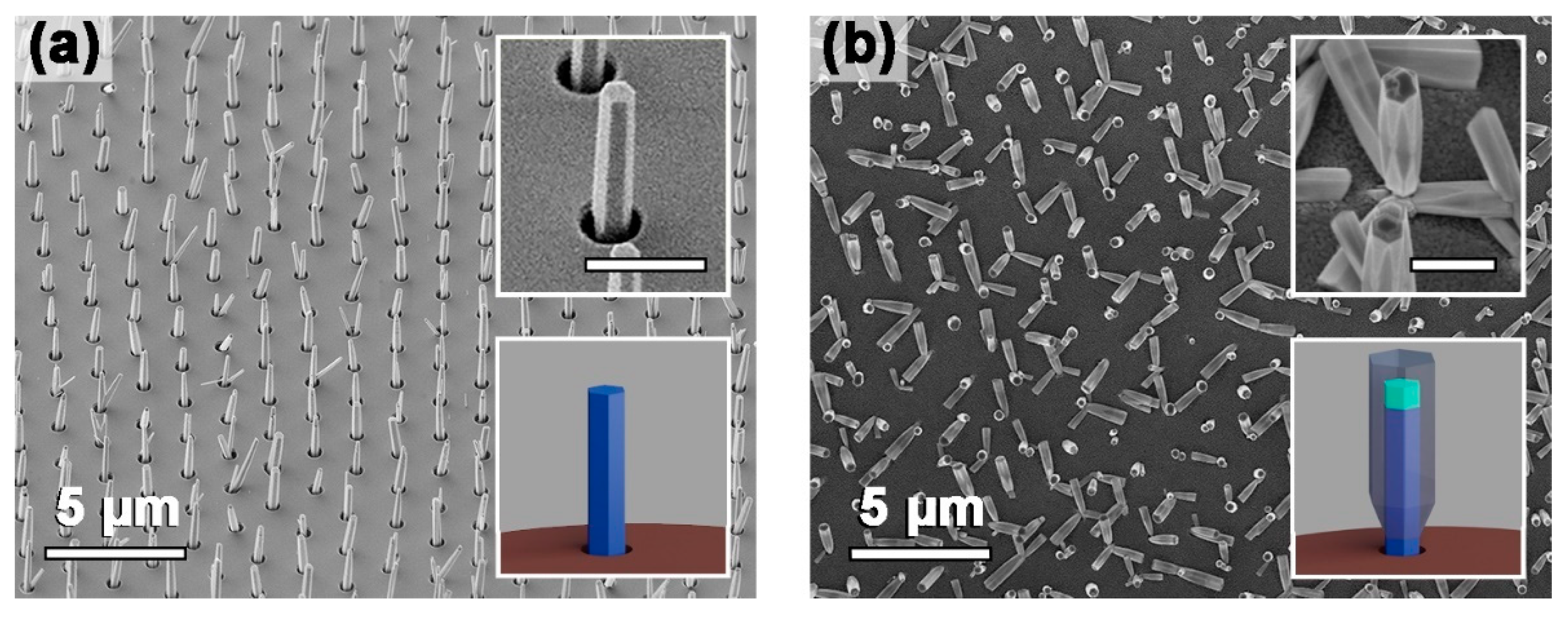 Nanomaterials 12 01993 g002