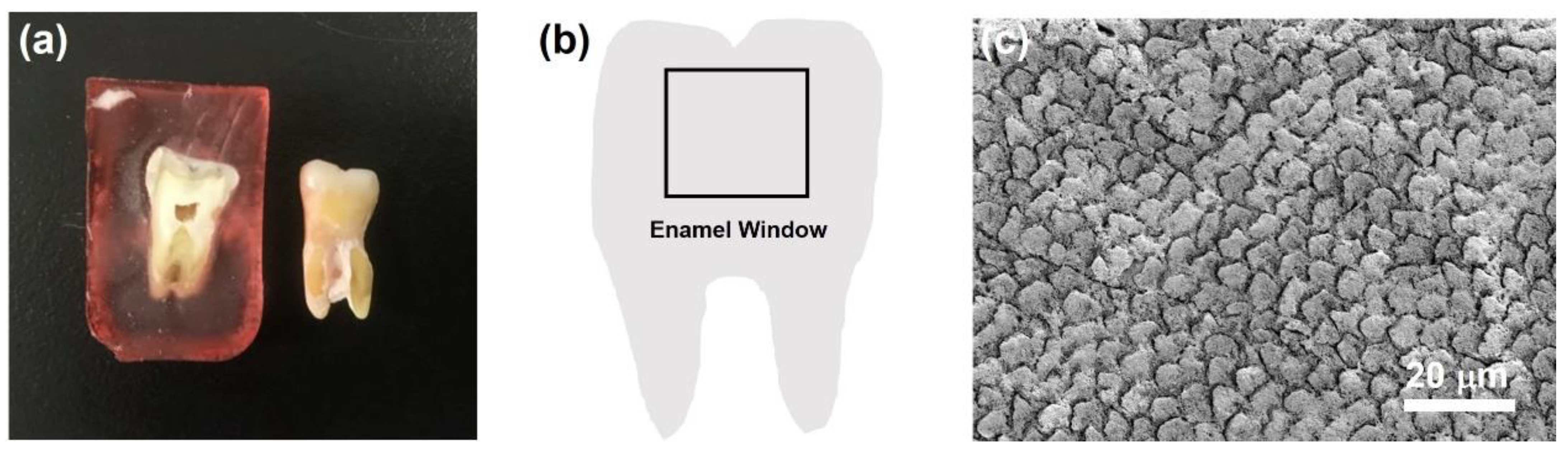 Nanomaterials 12 01997 g003 550