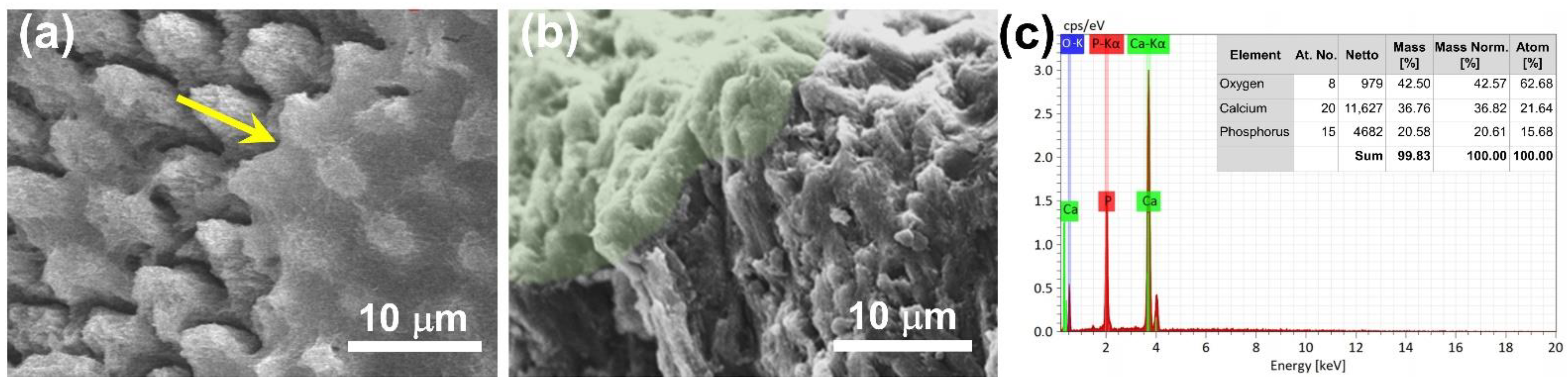 Nanomaterials 12 01997 g005 550