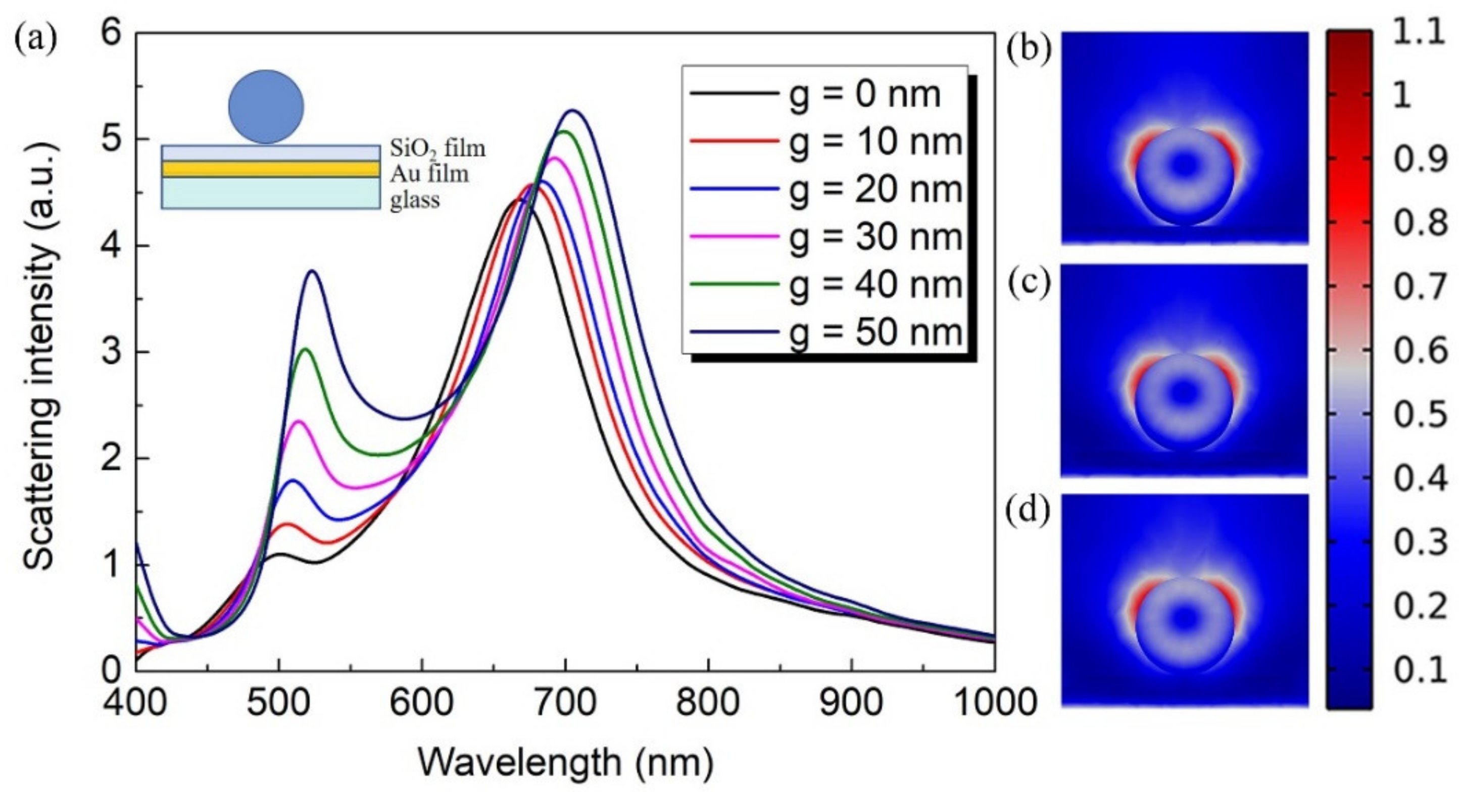 Nanomaterials 12 02010 g005
