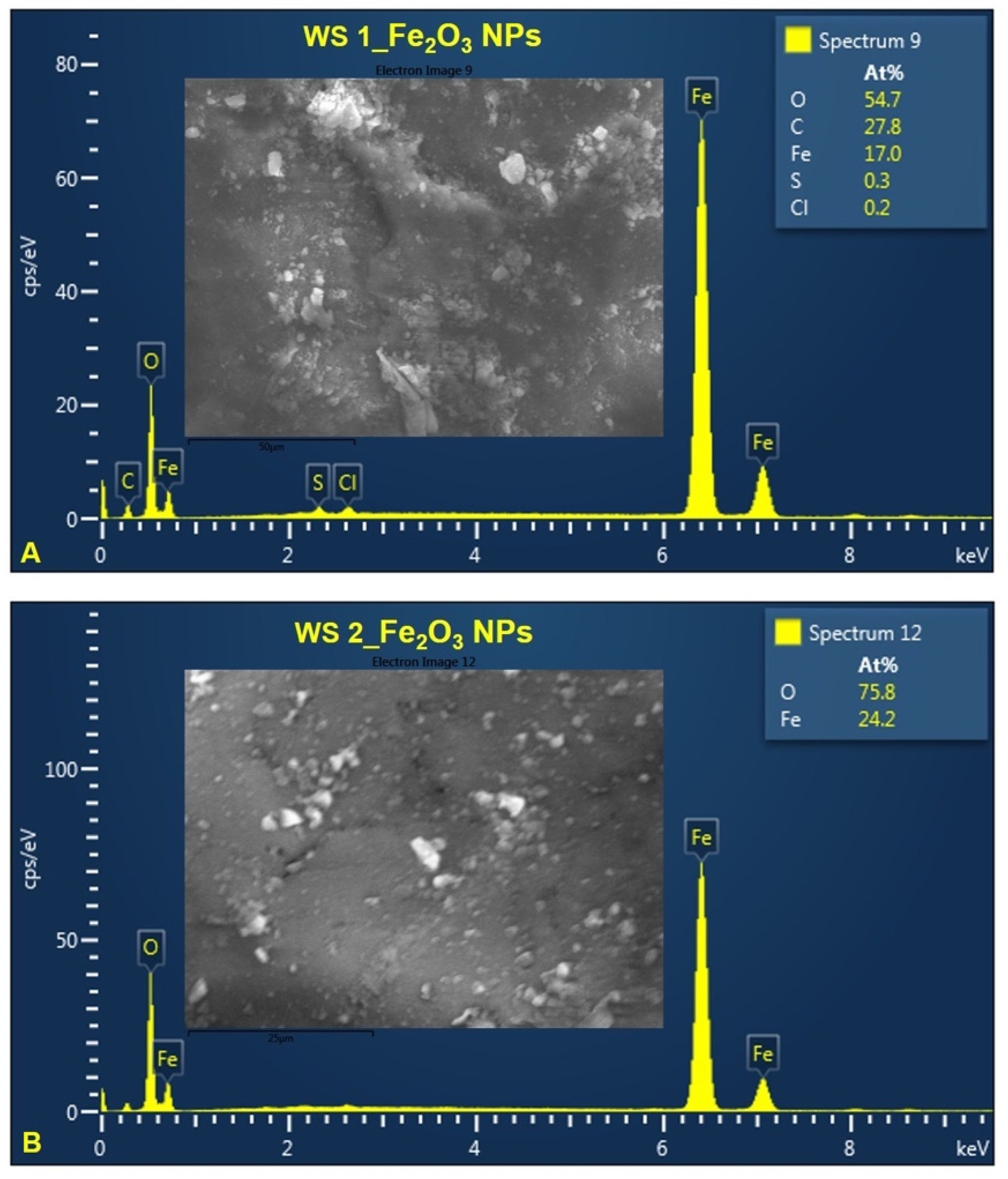 Nanomaterials 12 02012 g008