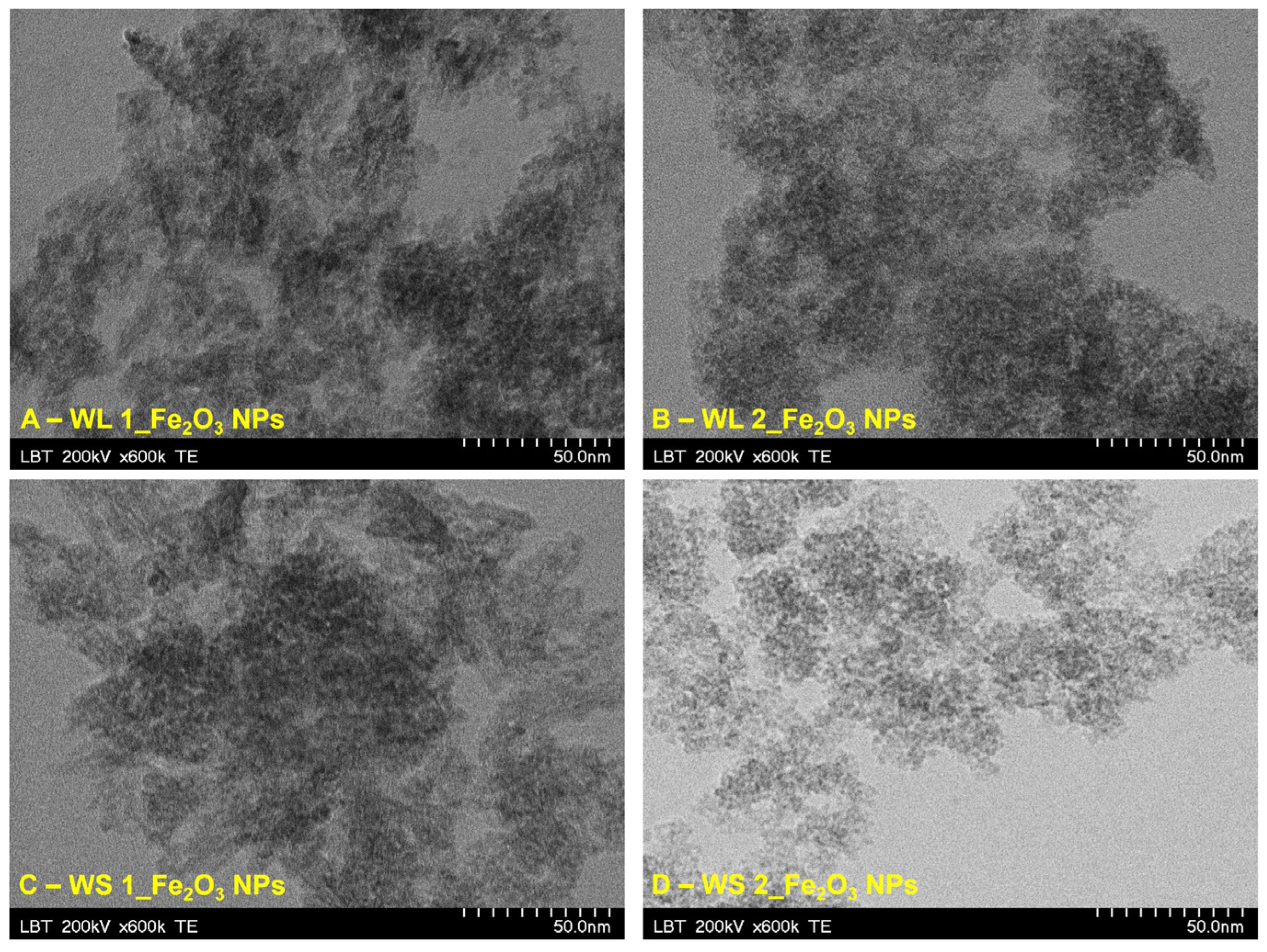 Nanomaterials 12 02012 g009